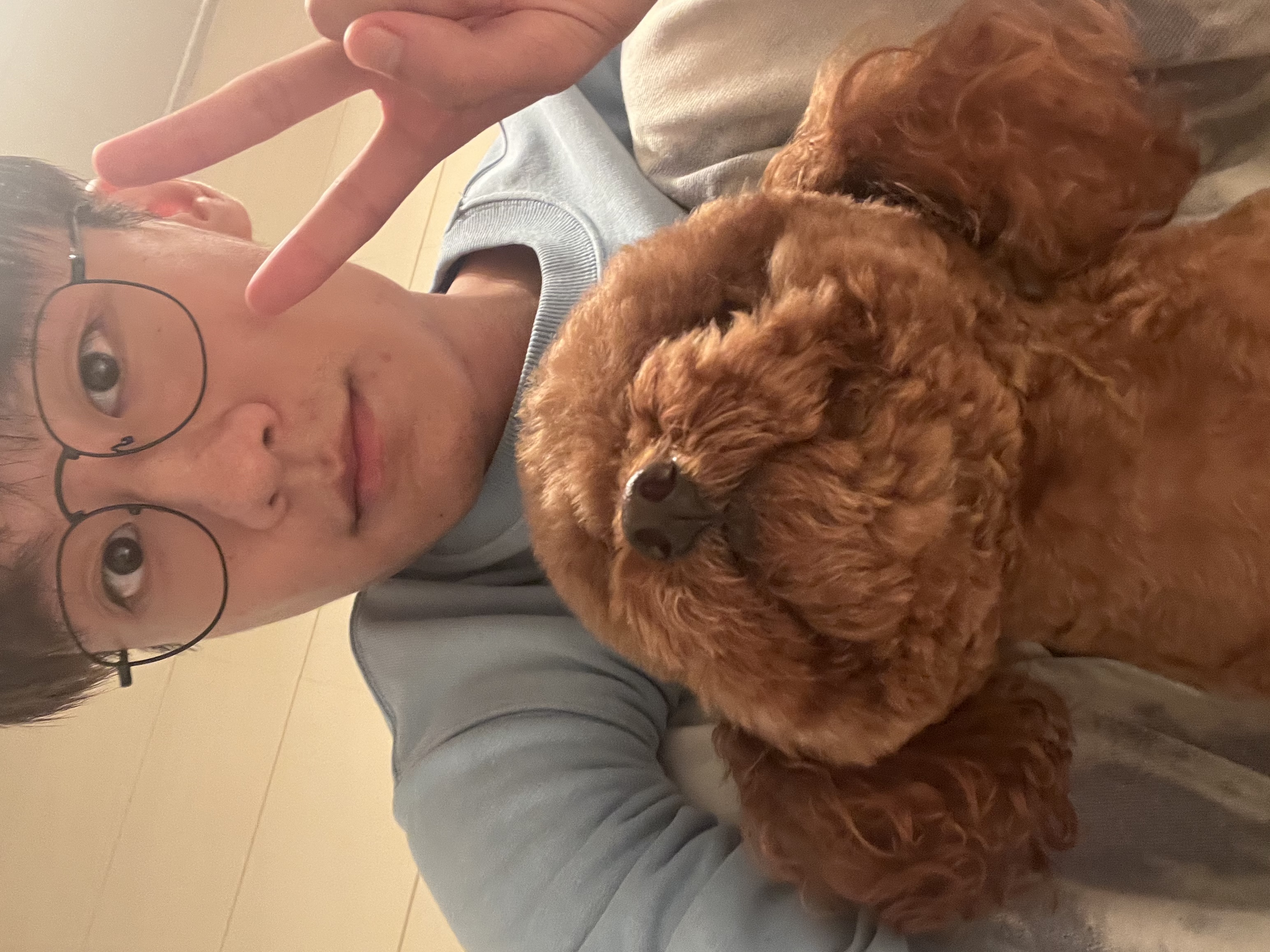 image-8