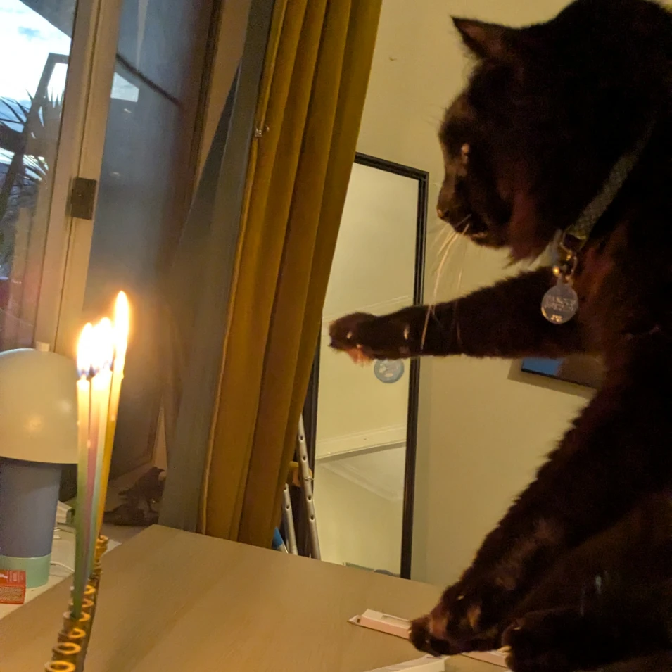 Fangus