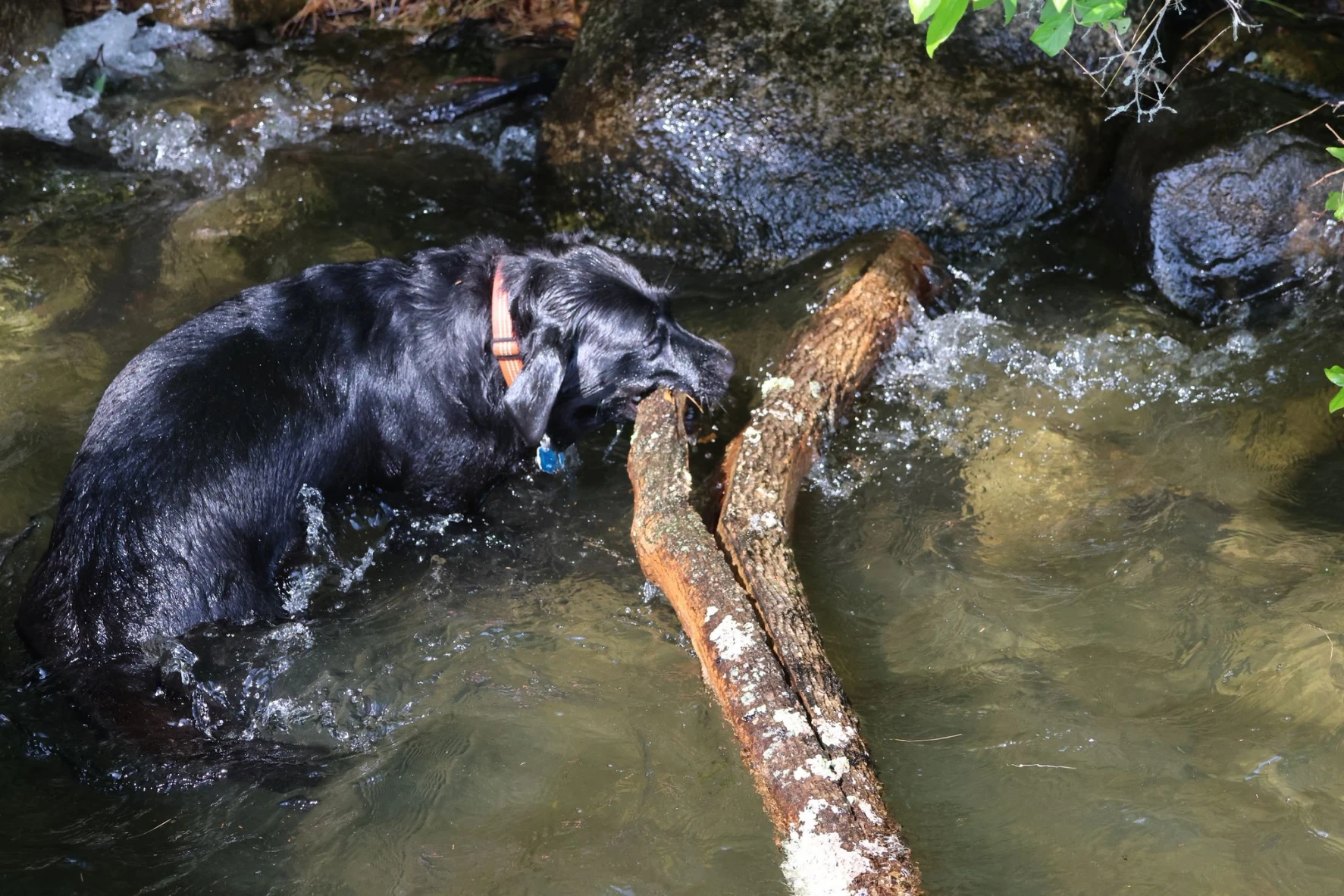 image-9