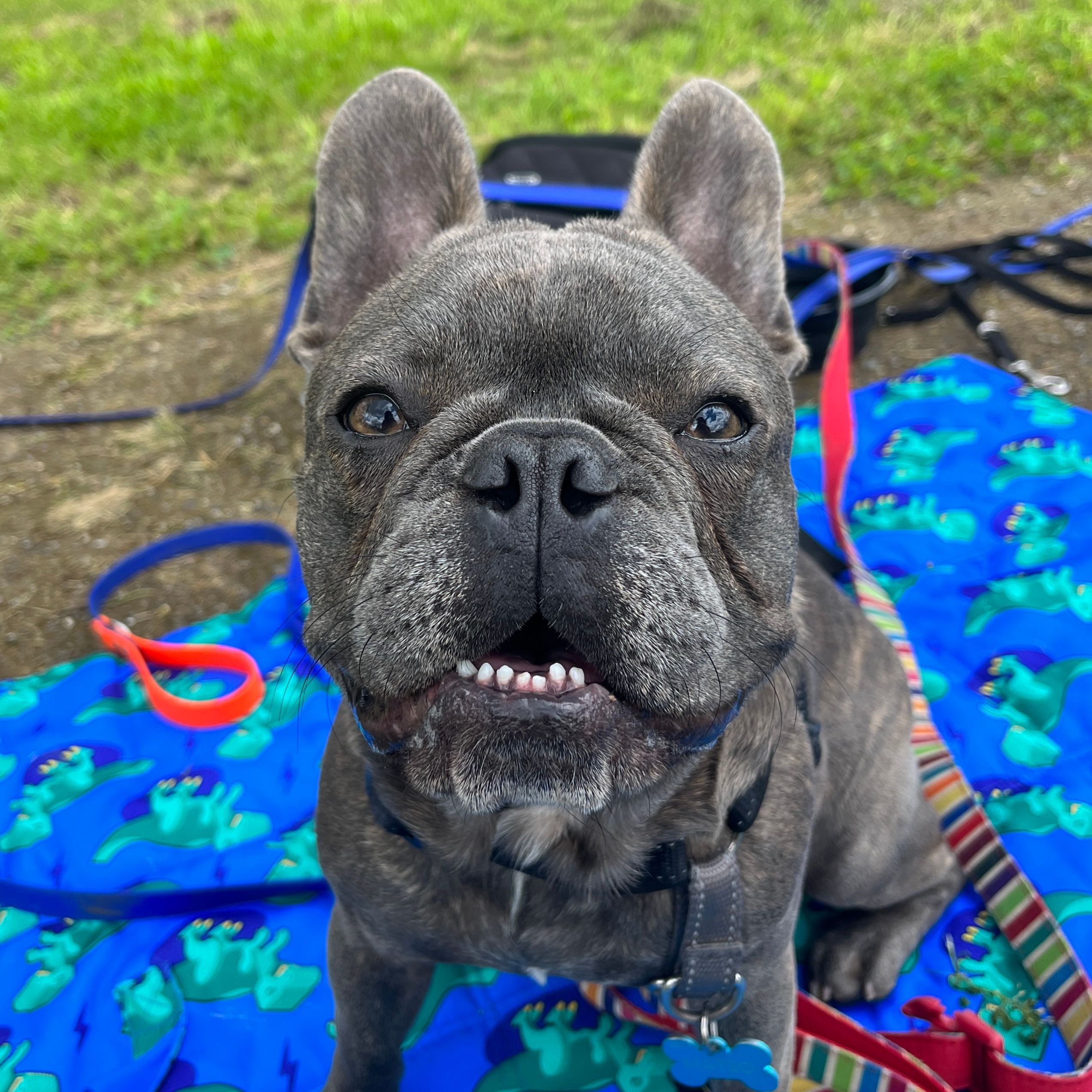Mateo