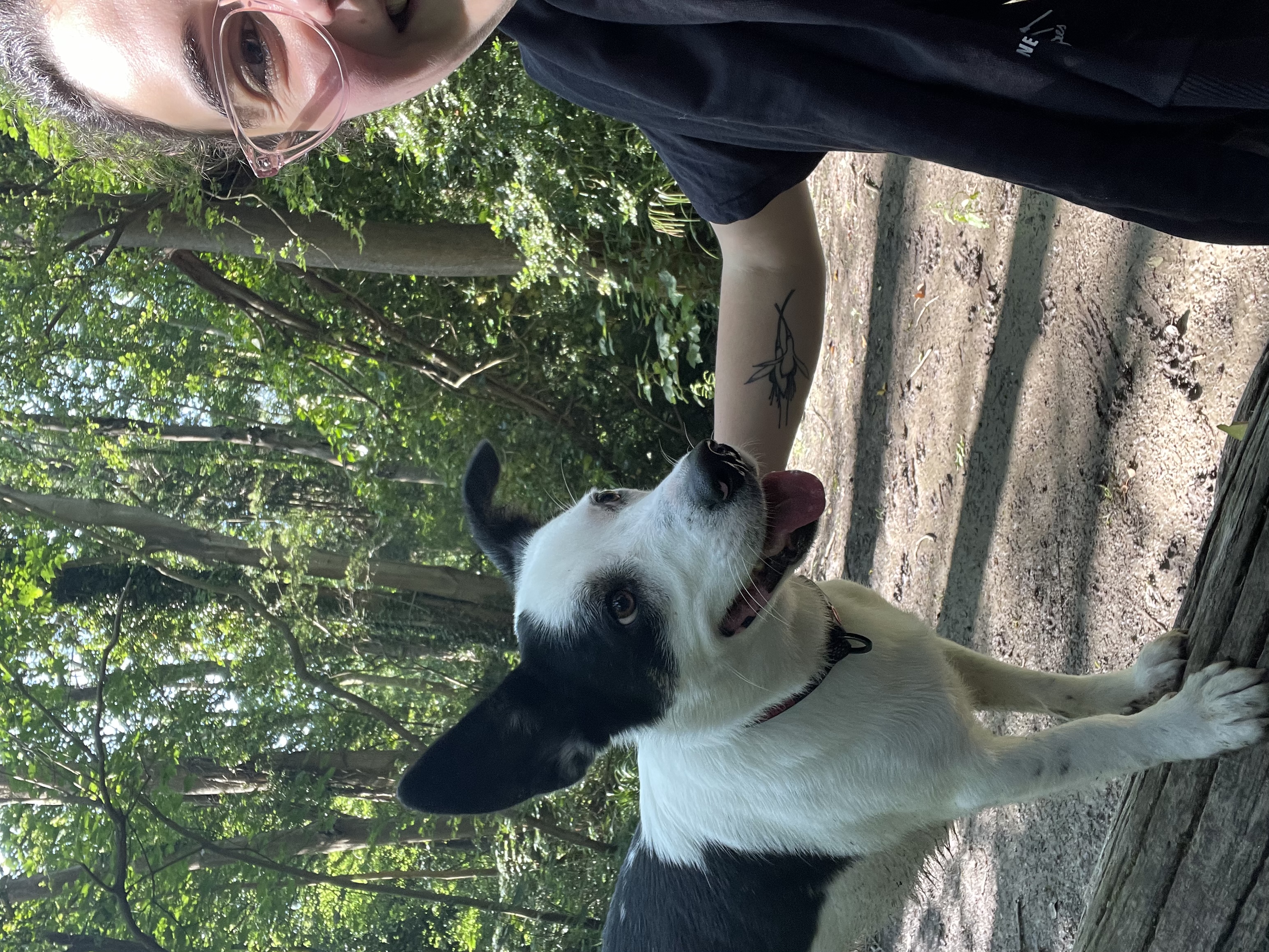 image-6