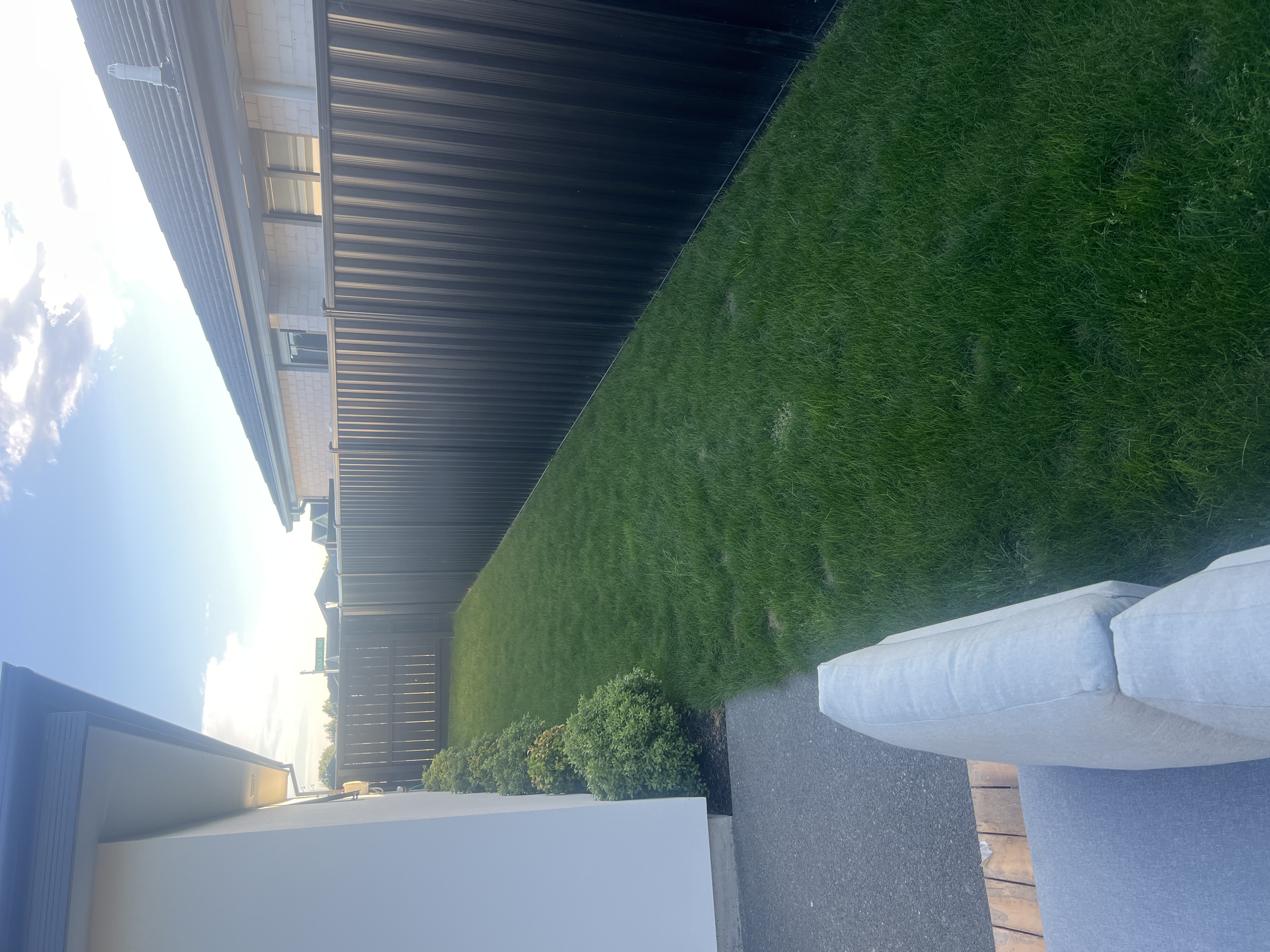 image-19