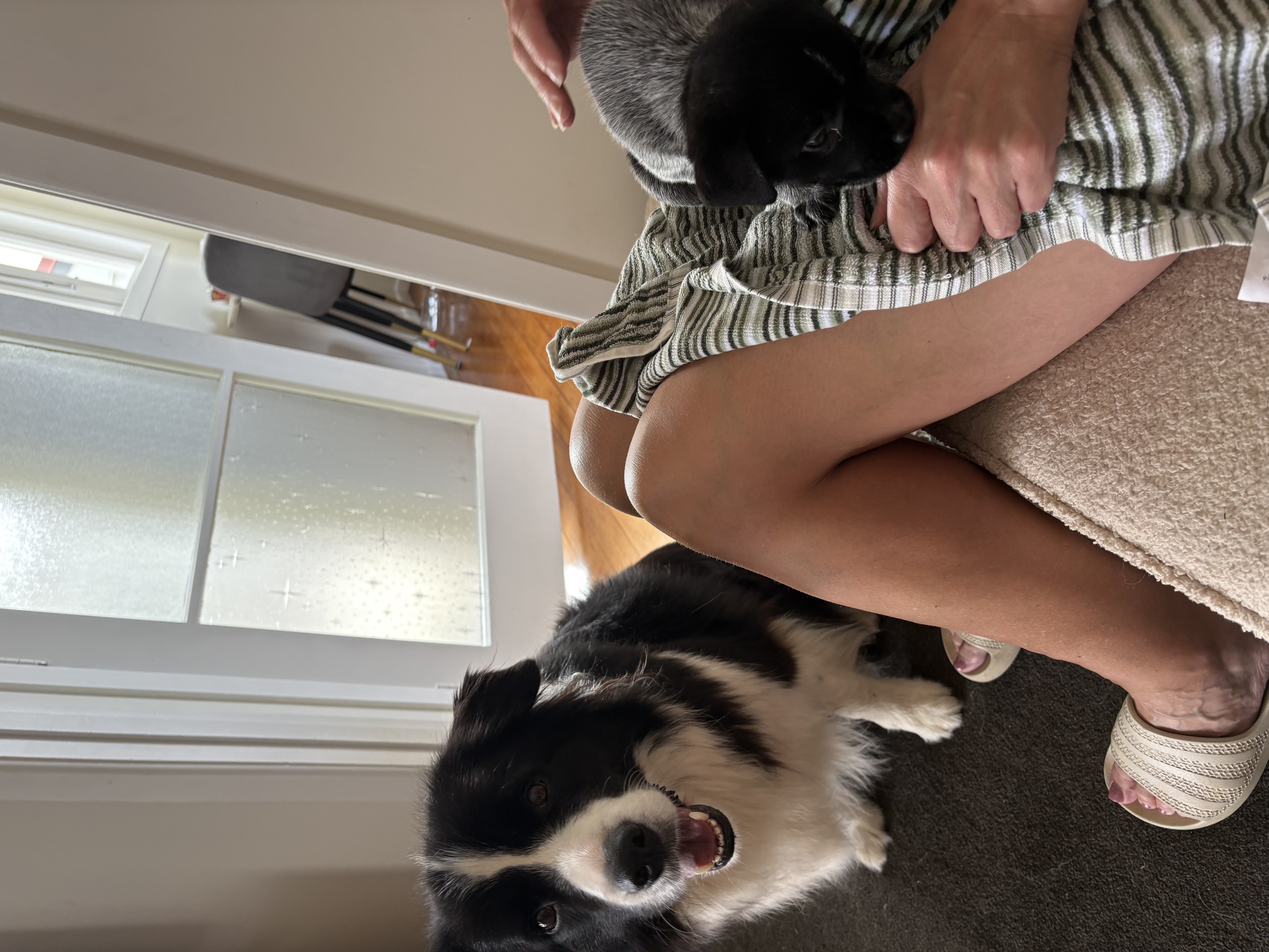 image-12