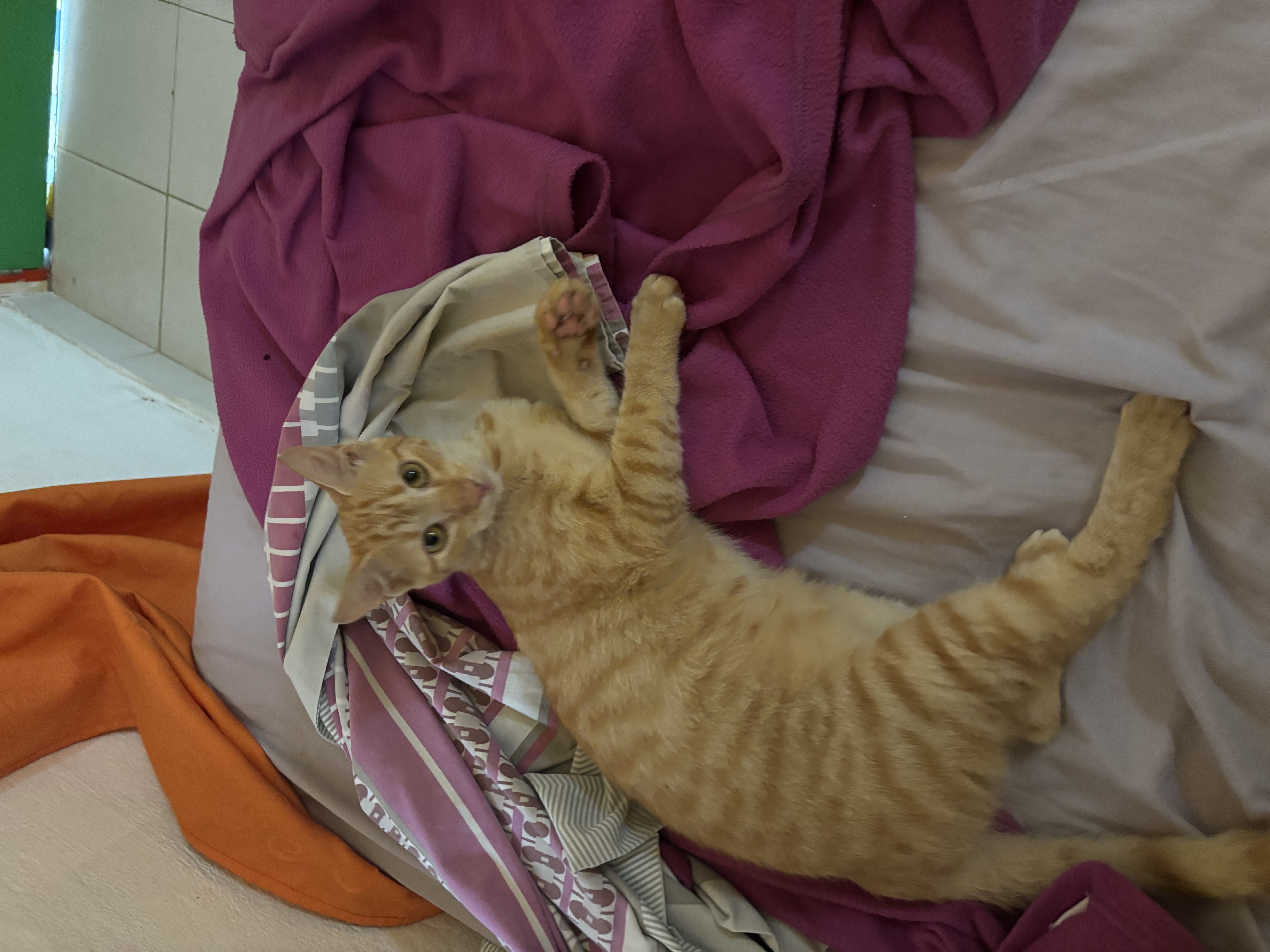 image-3