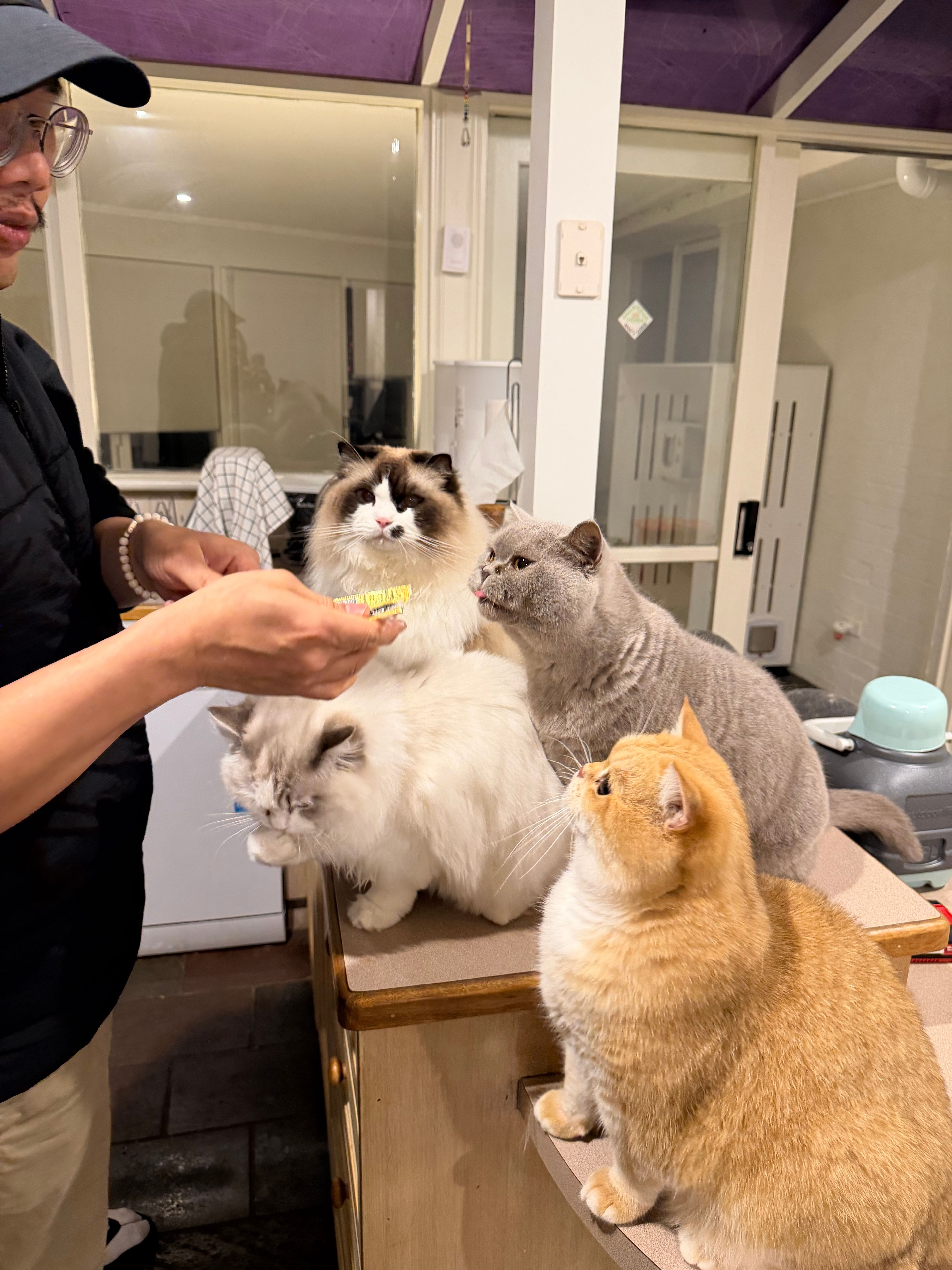 image-7