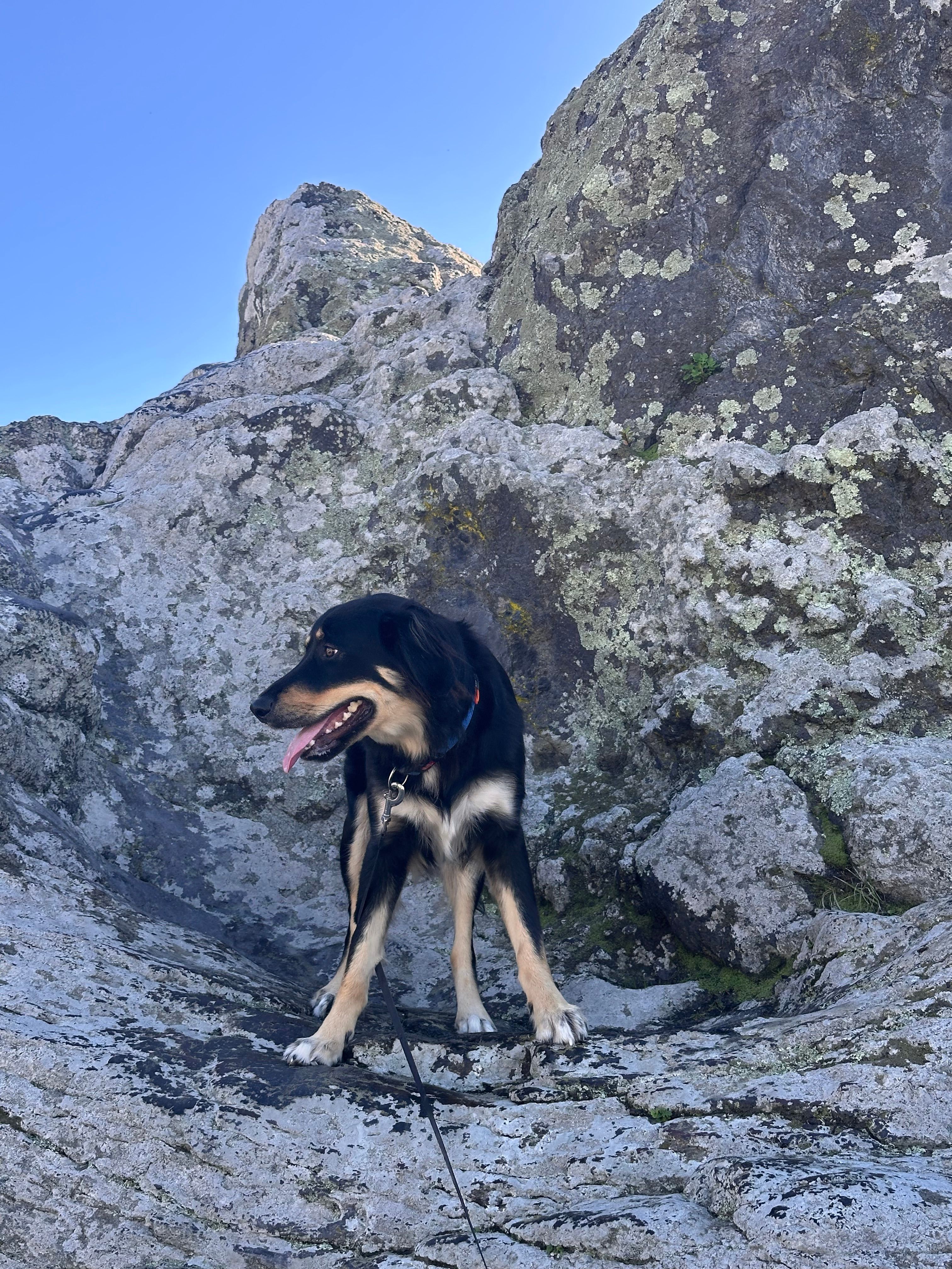 image-9