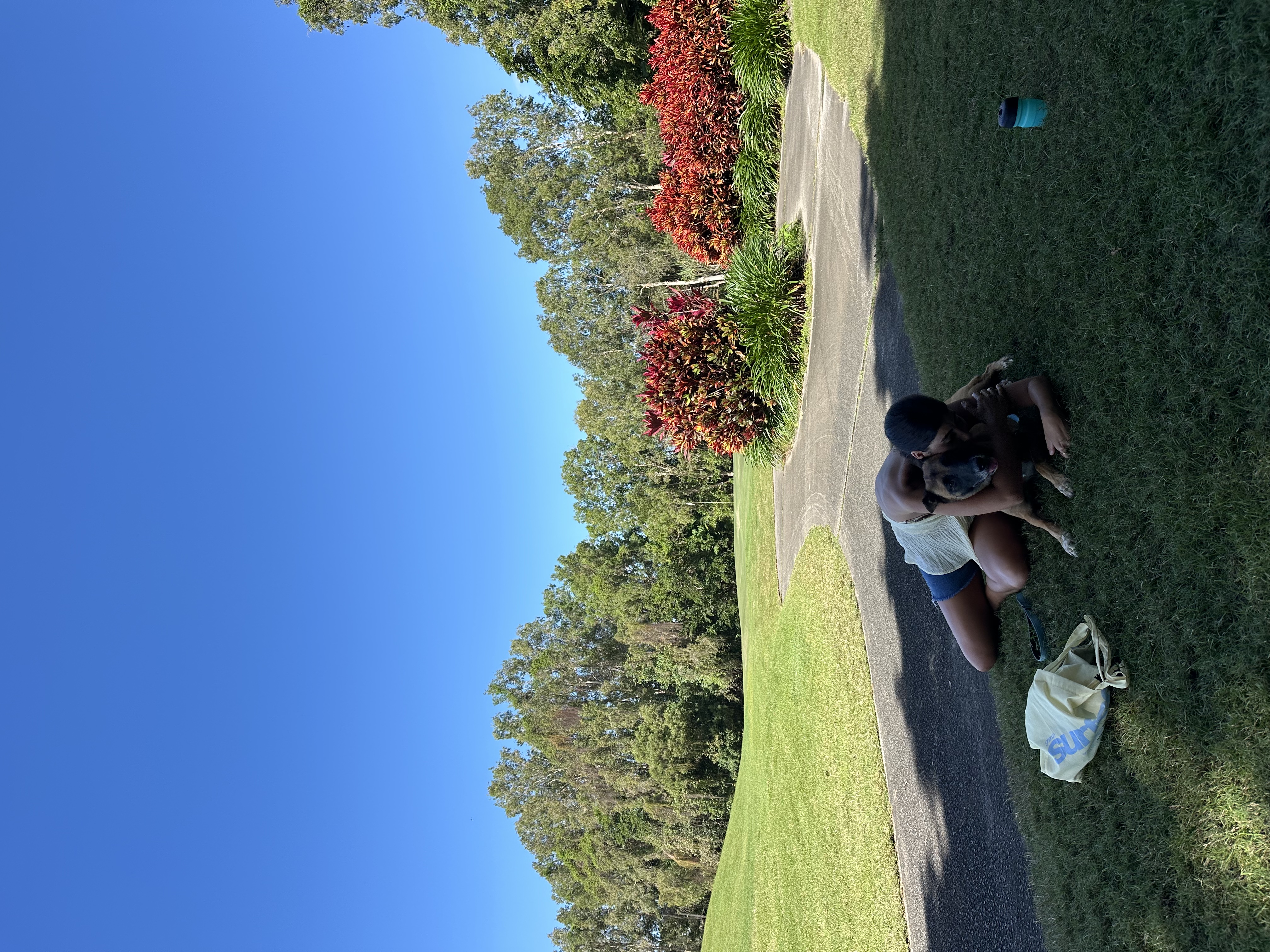 image-9