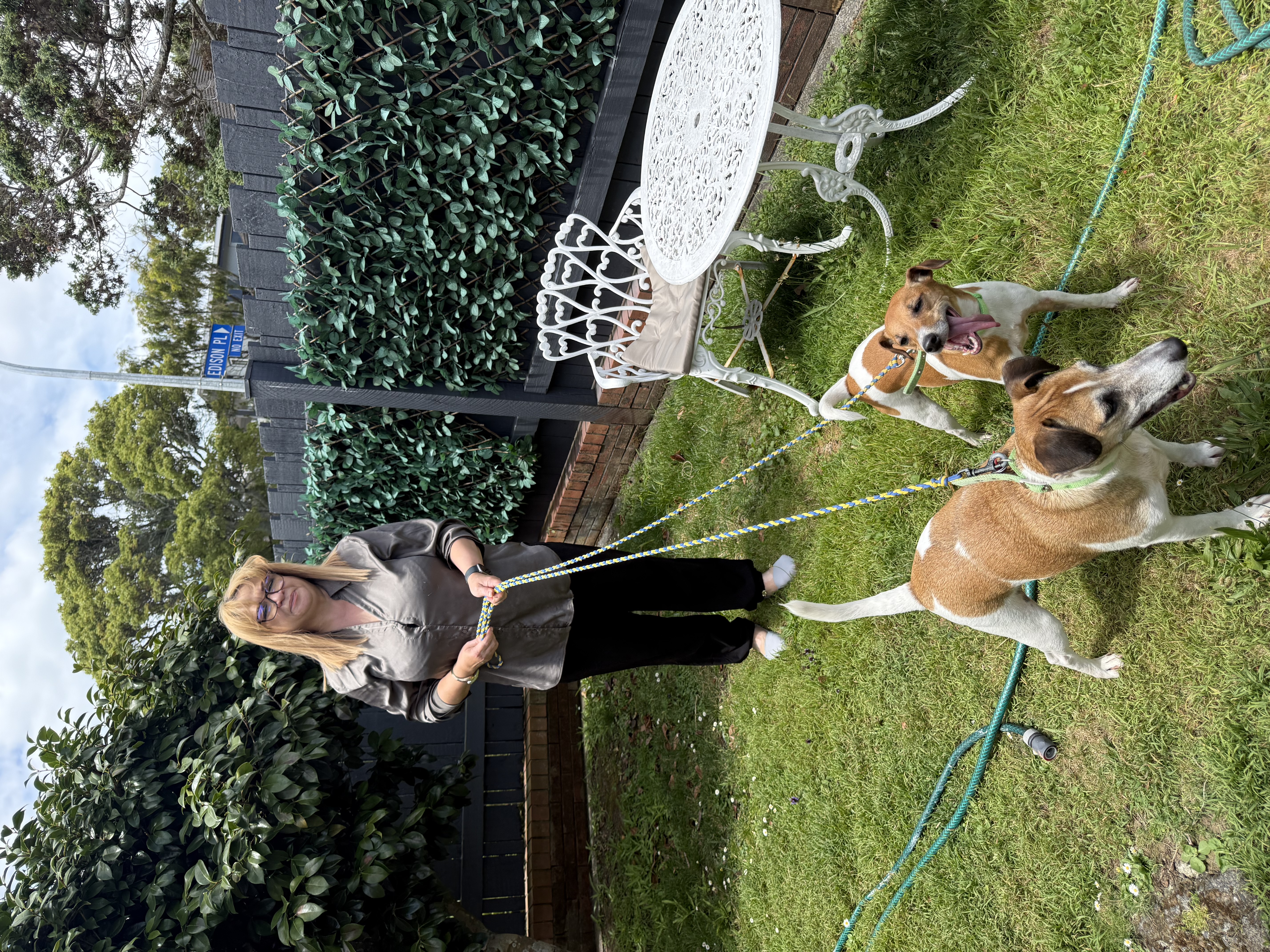 image-8