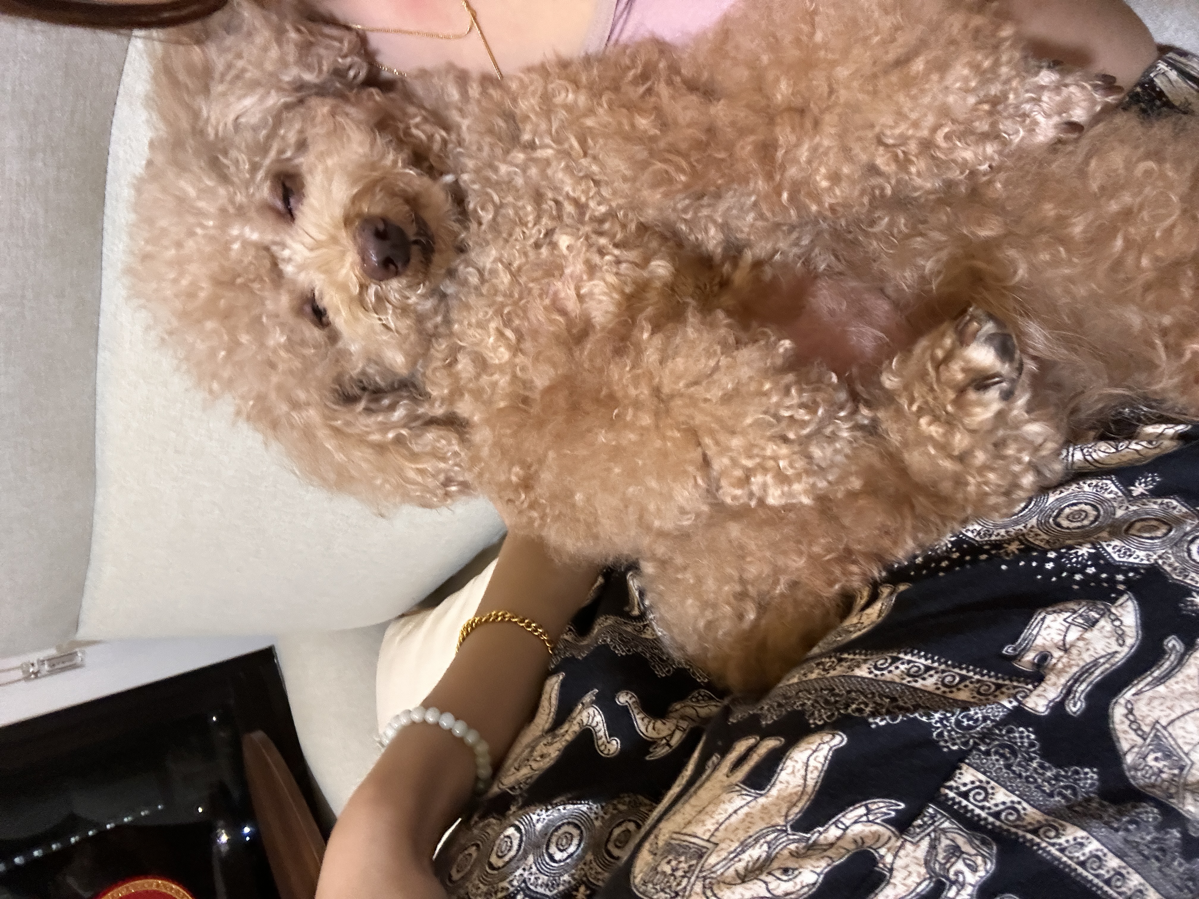 image-5