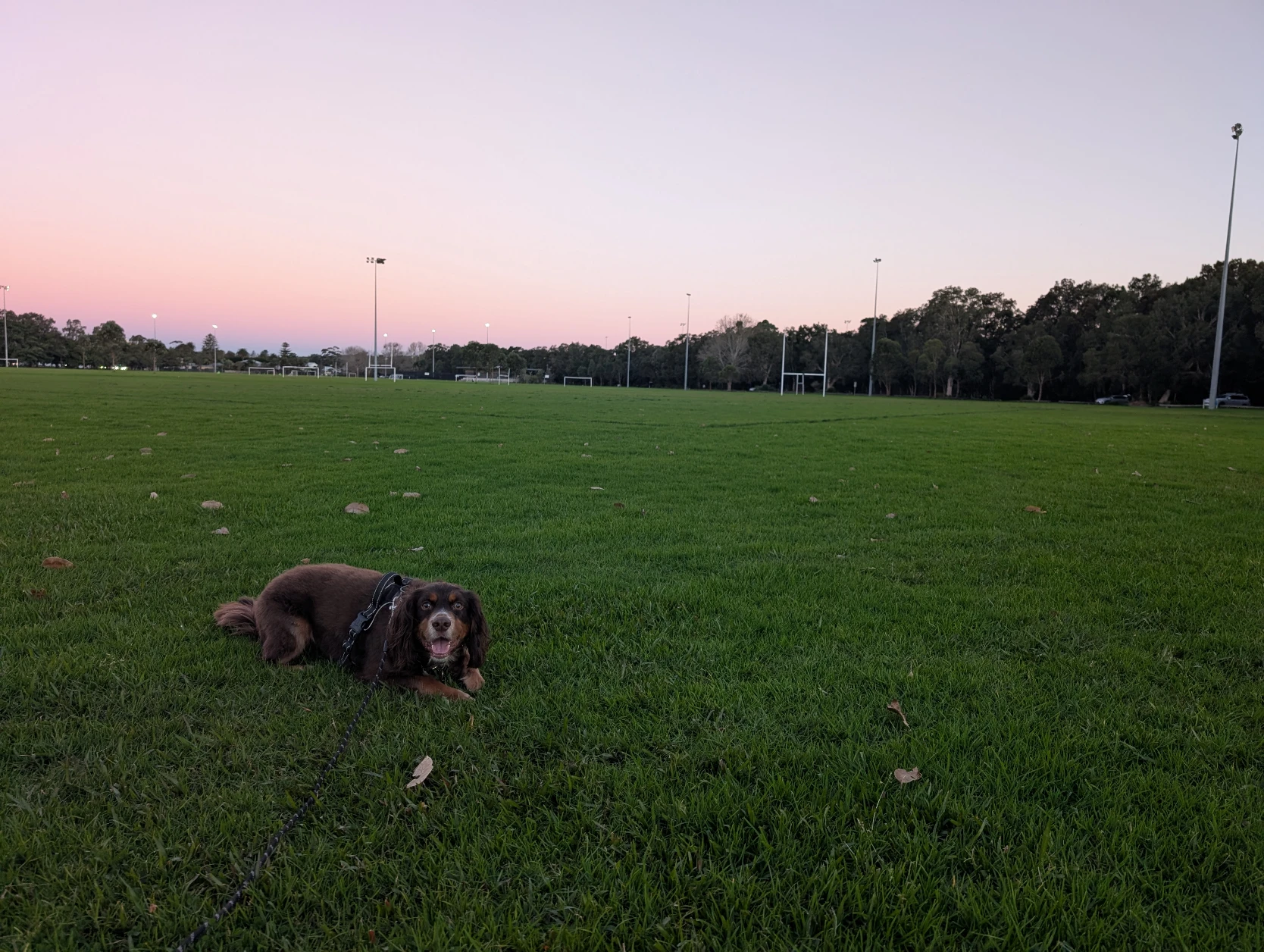 image-20