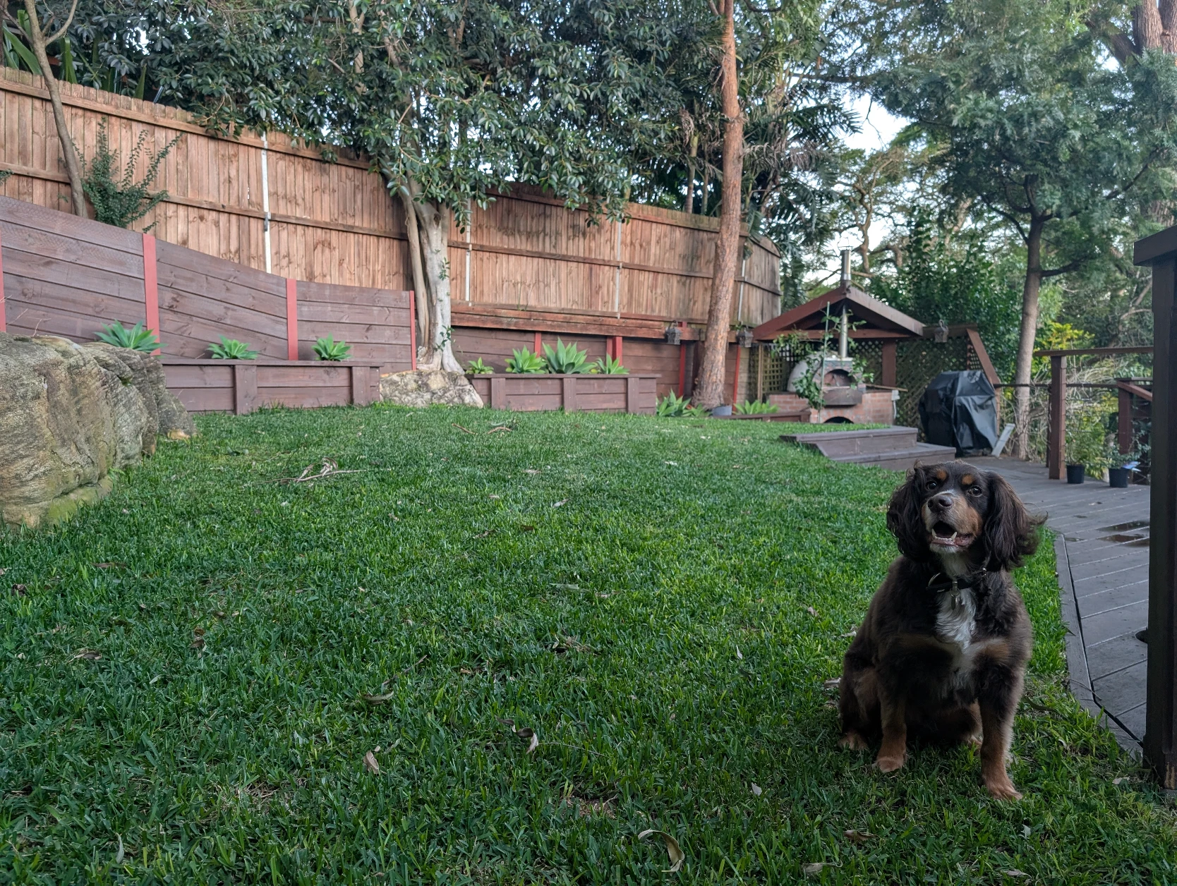 image-16