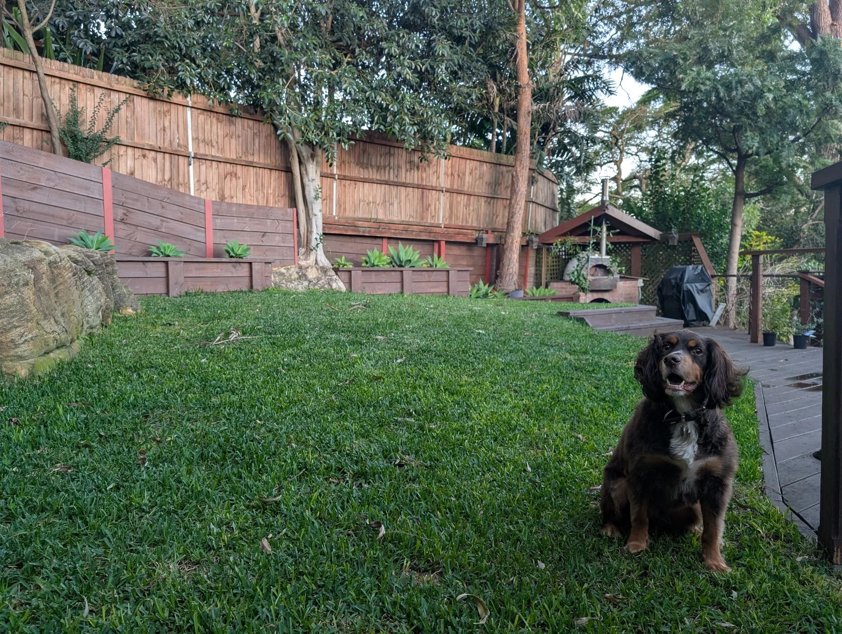 image-16