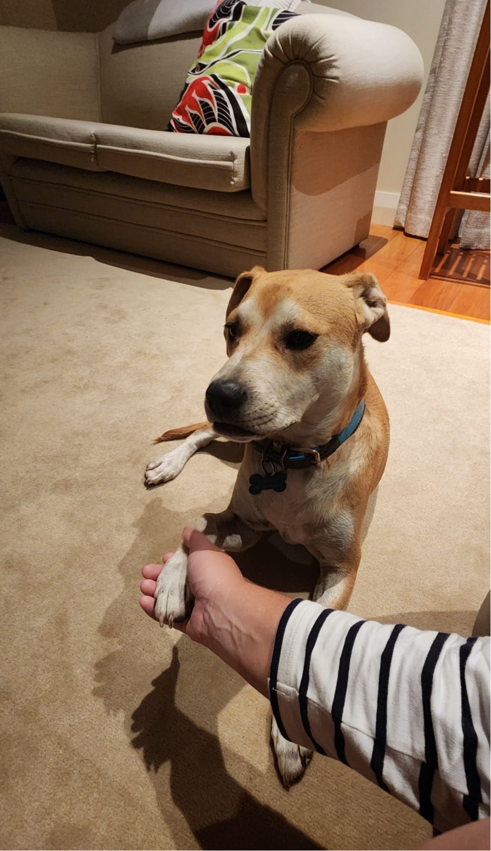 image-6