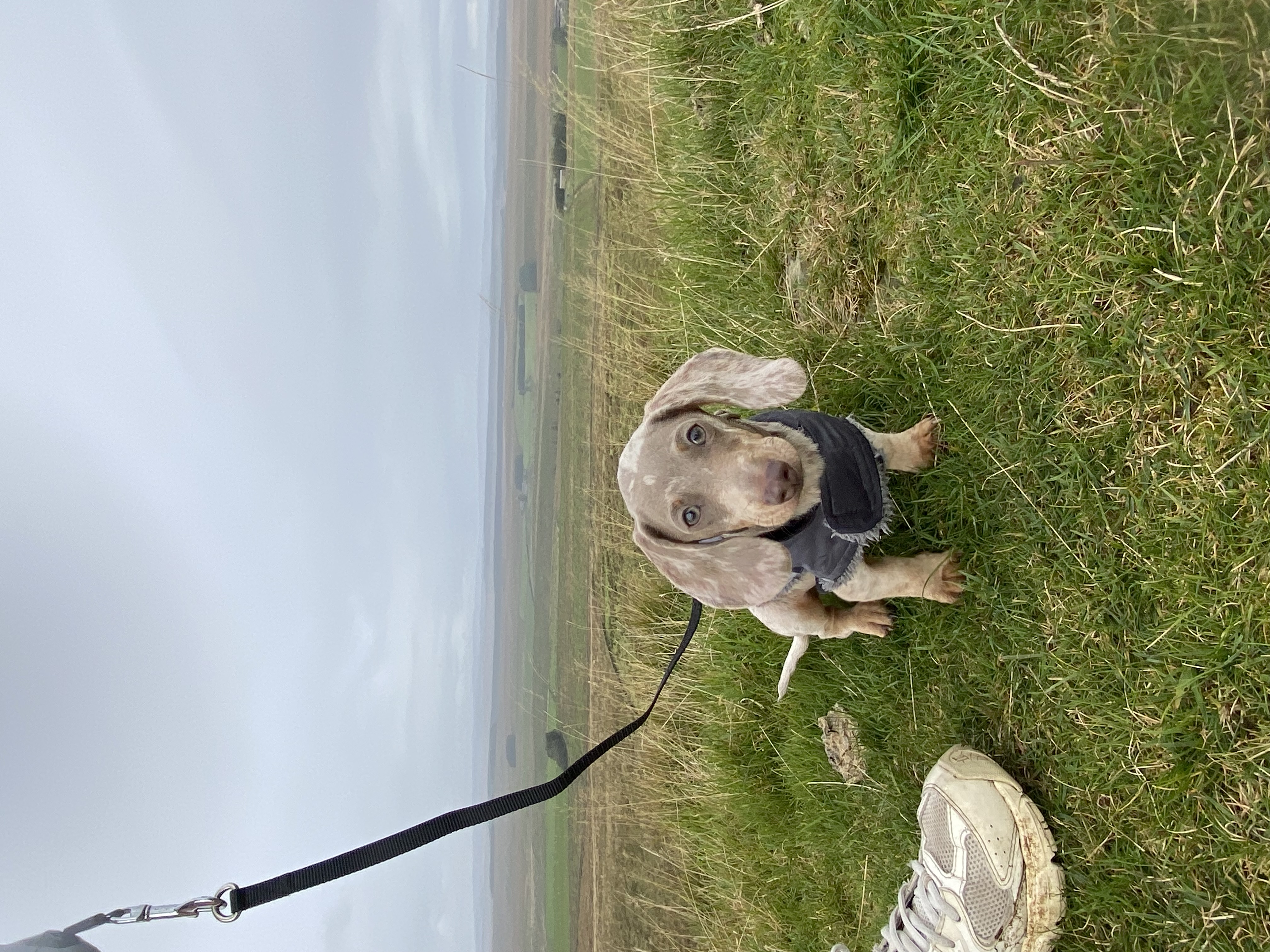 image-5