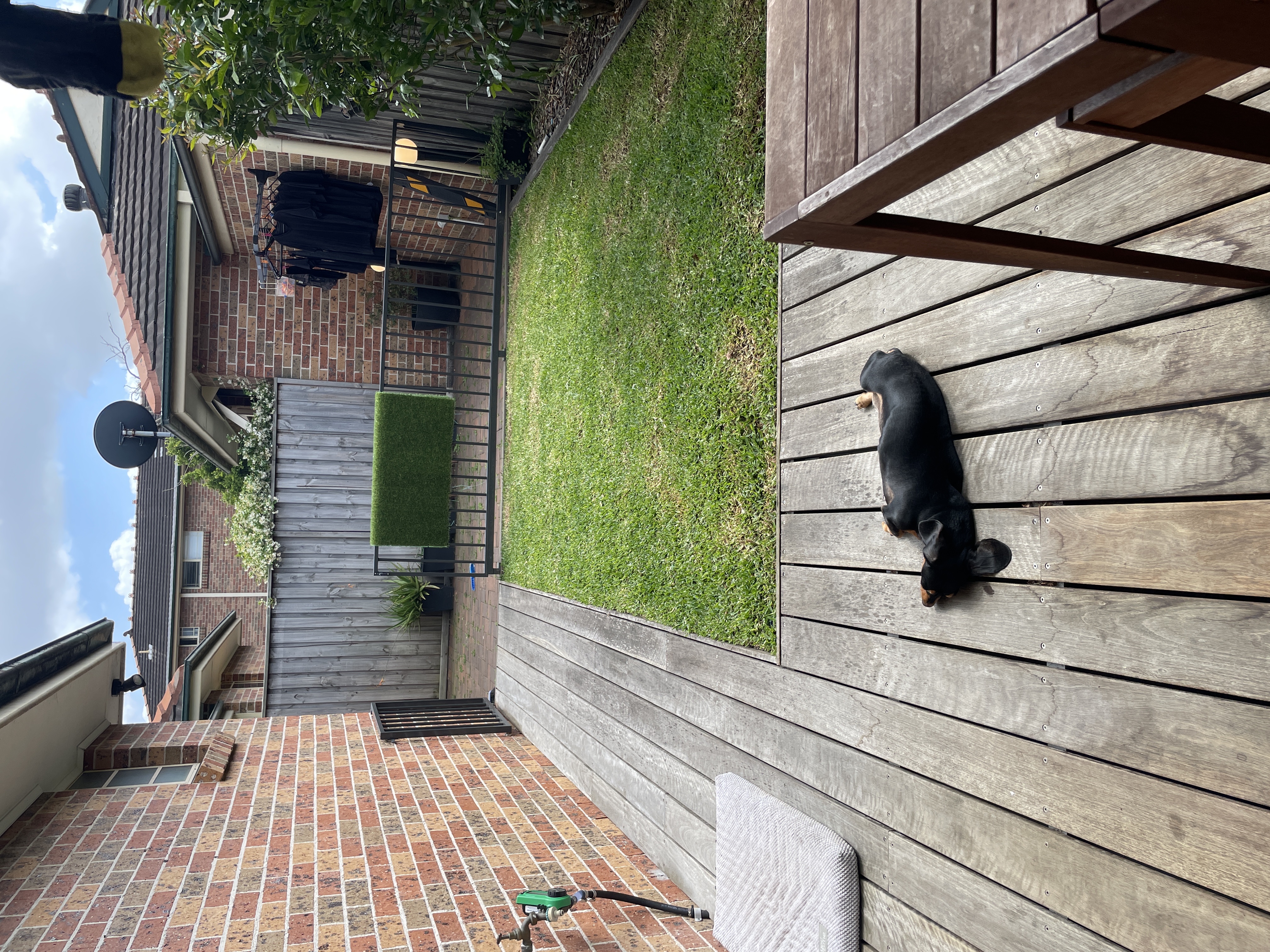image-11