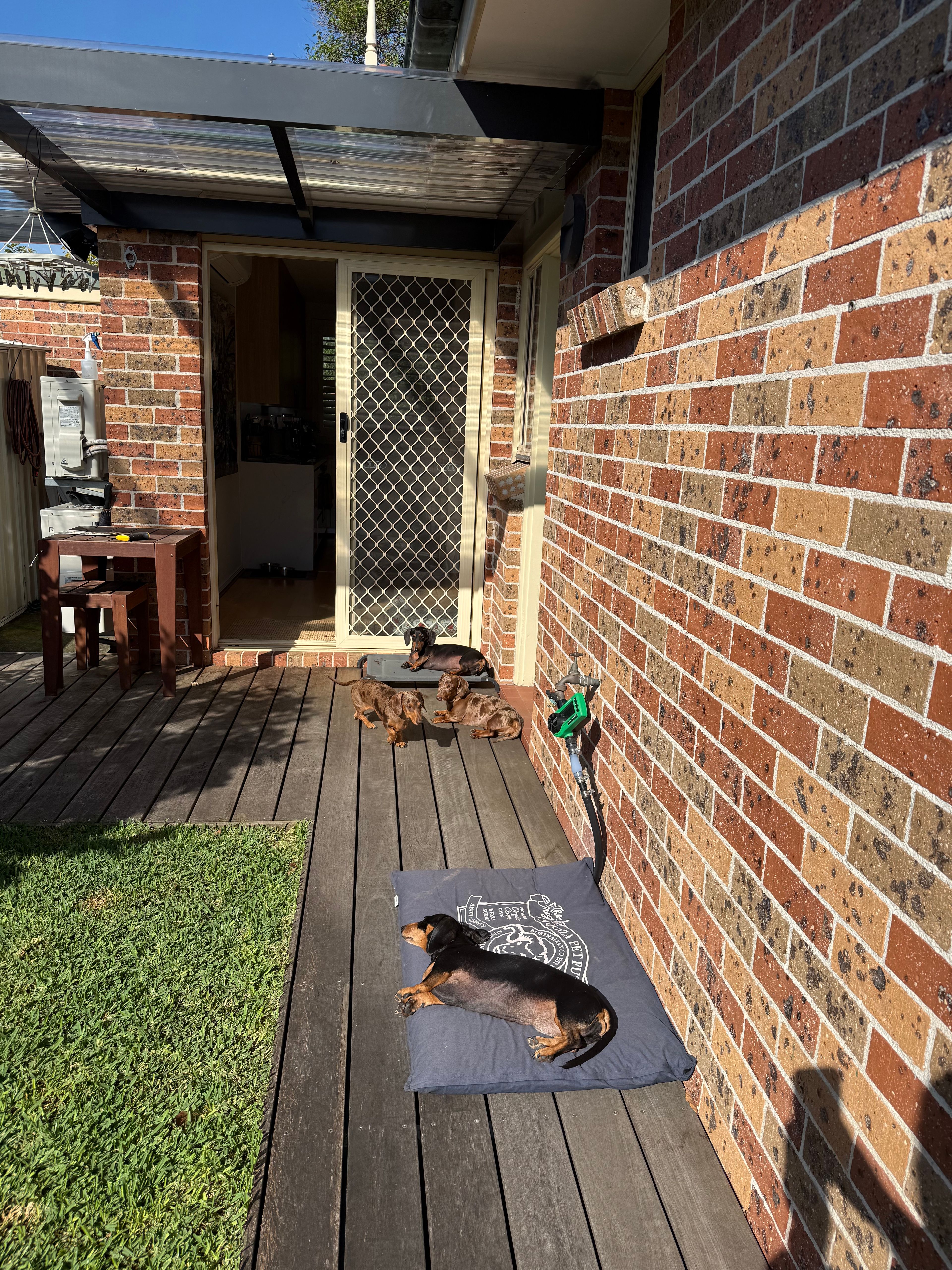 image-13