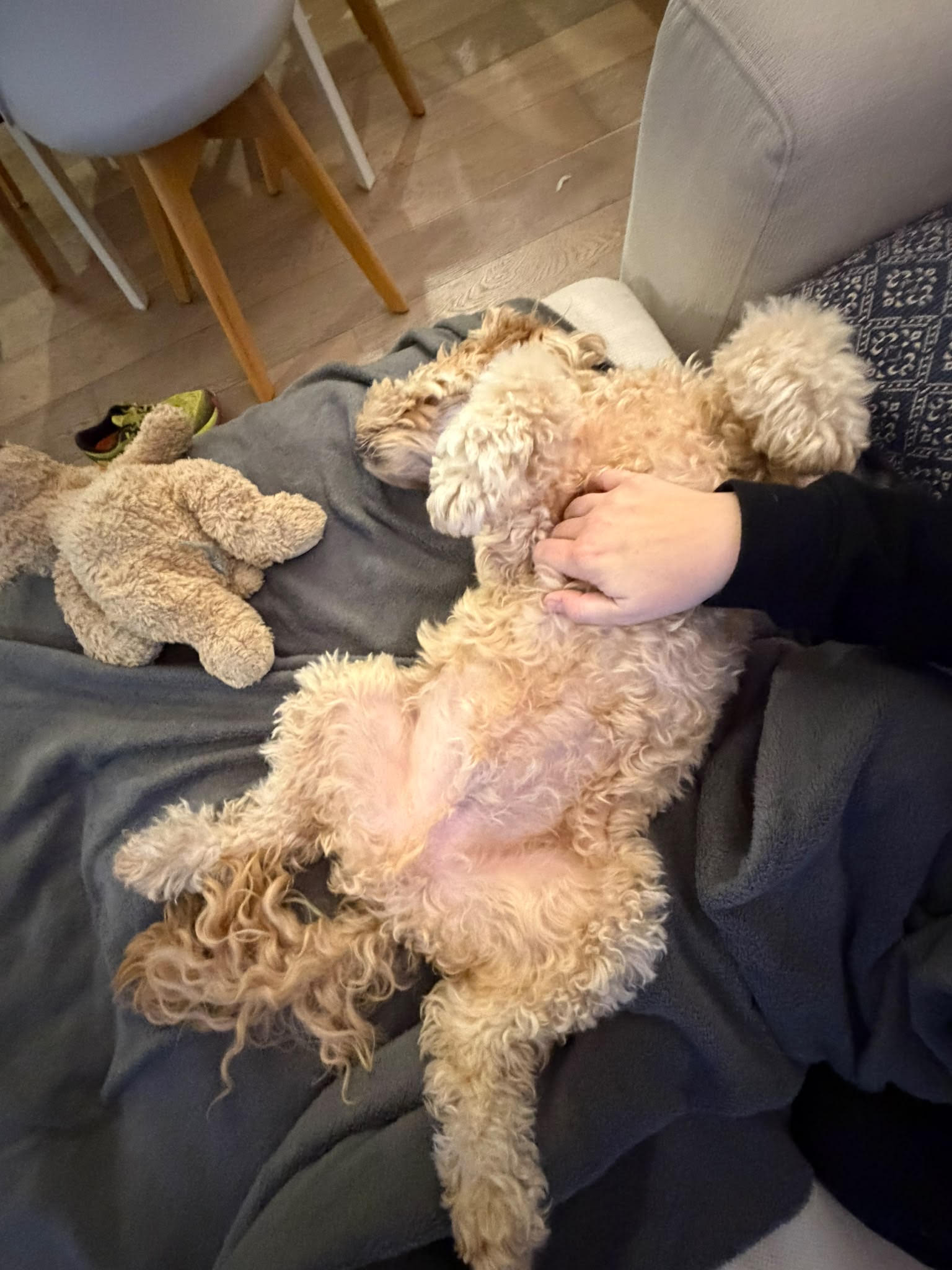 image-9