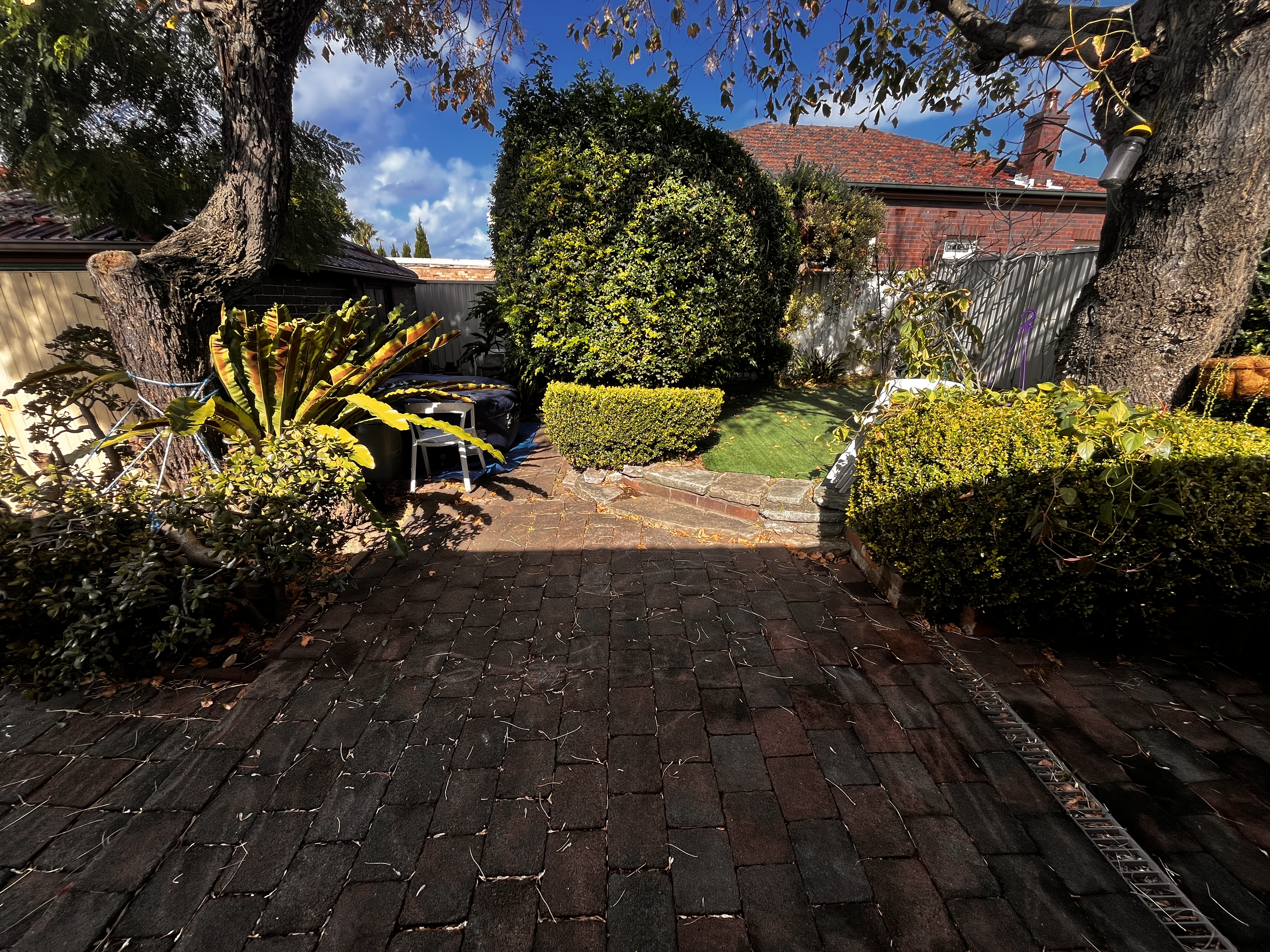 image-11