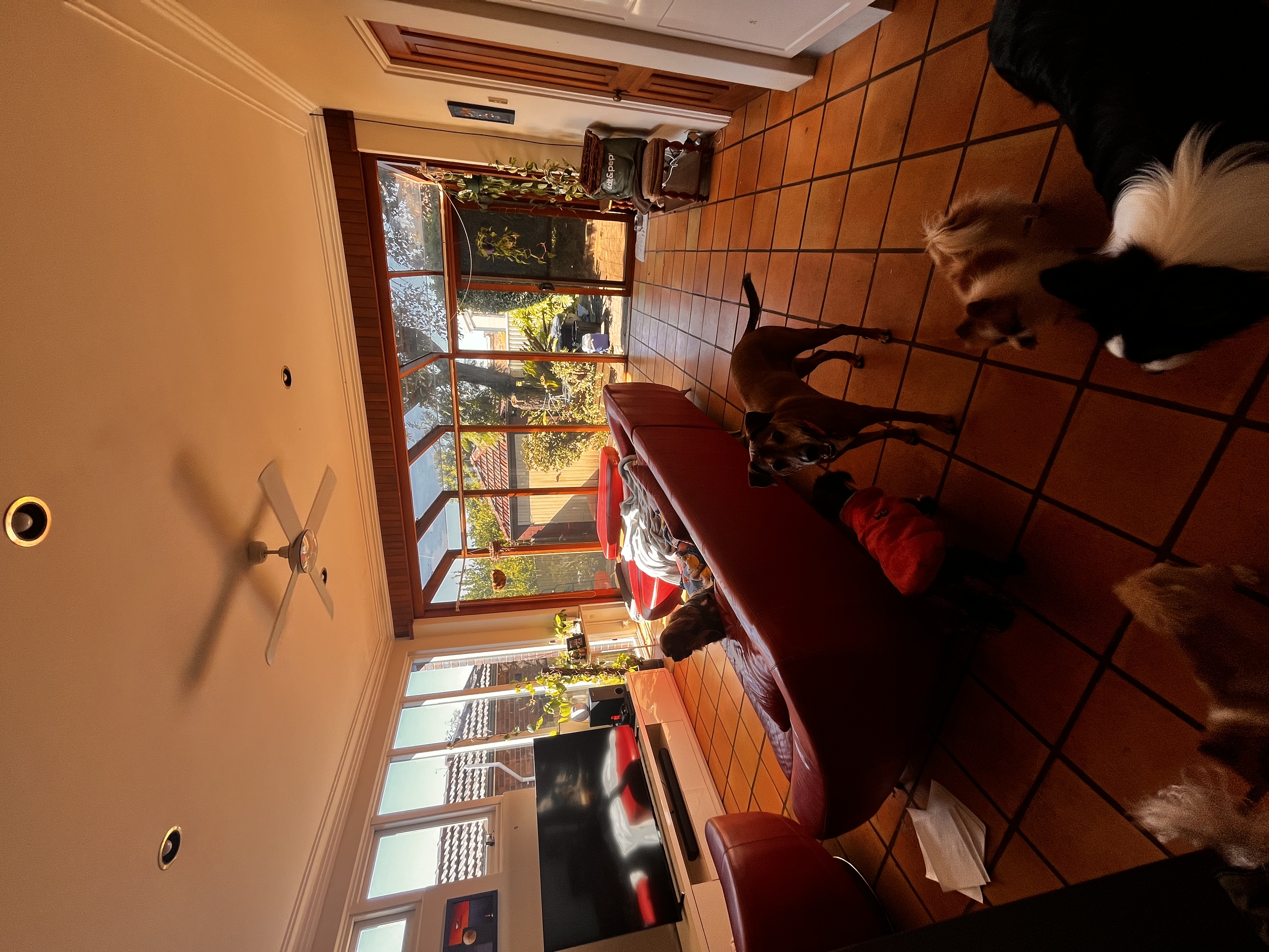 image-13