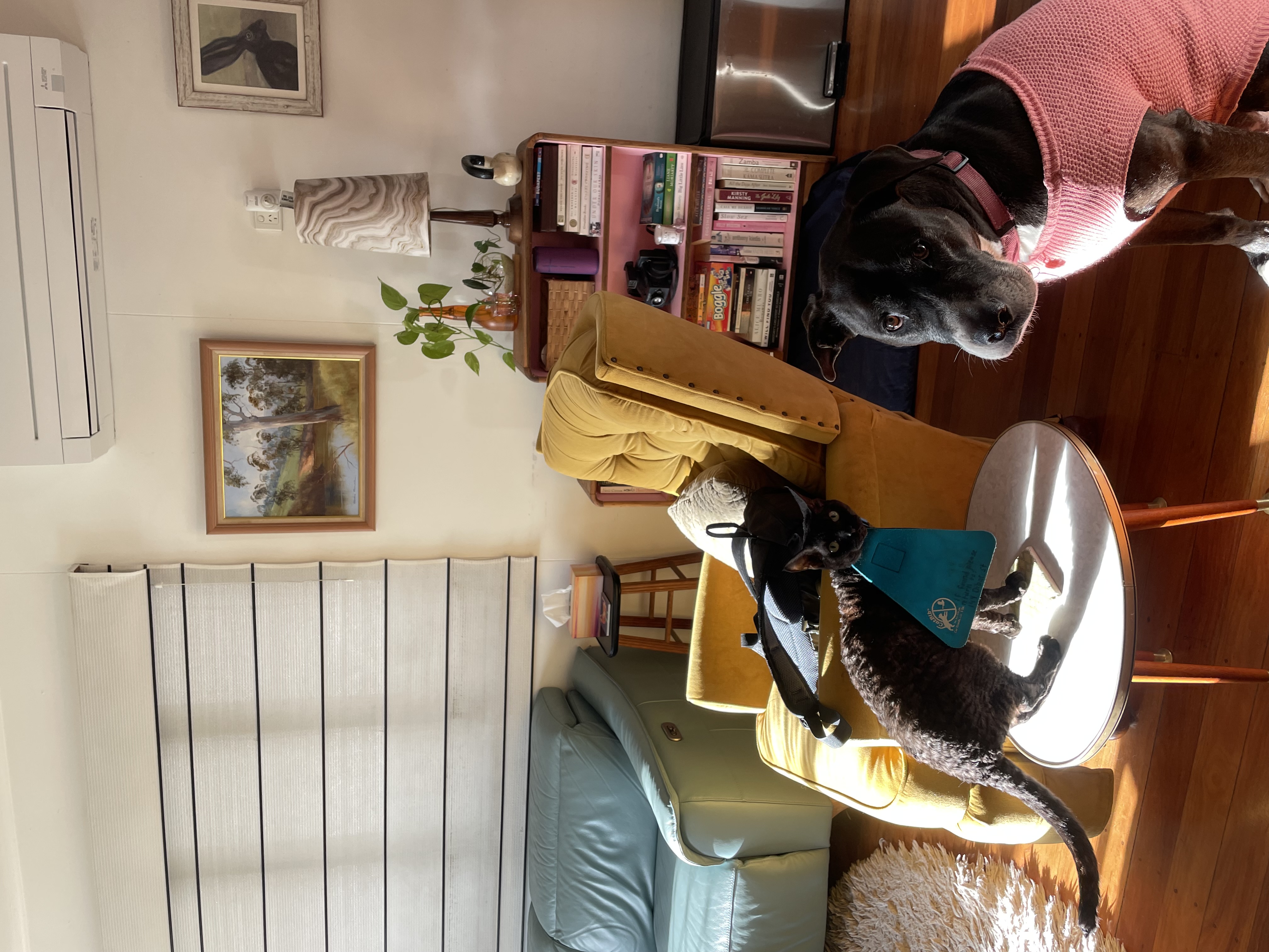 image-14