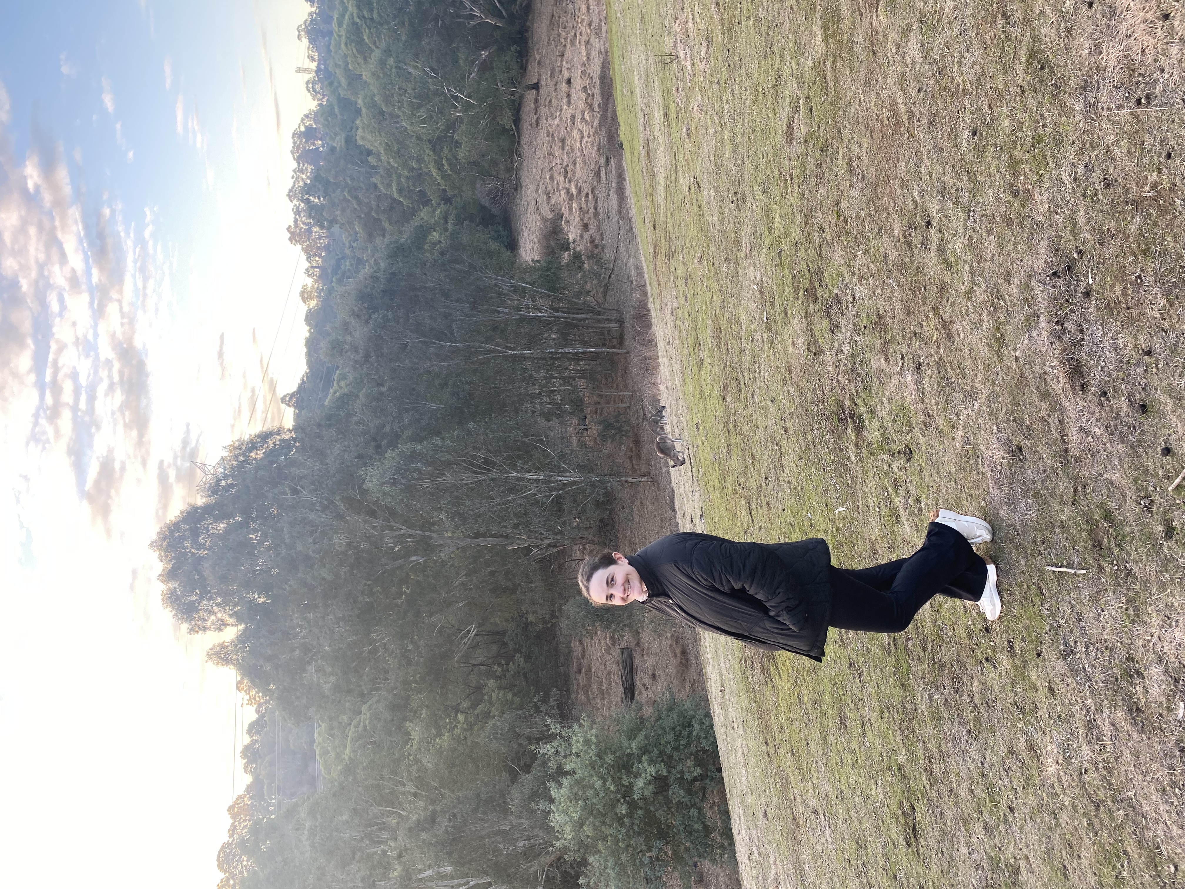 image-2