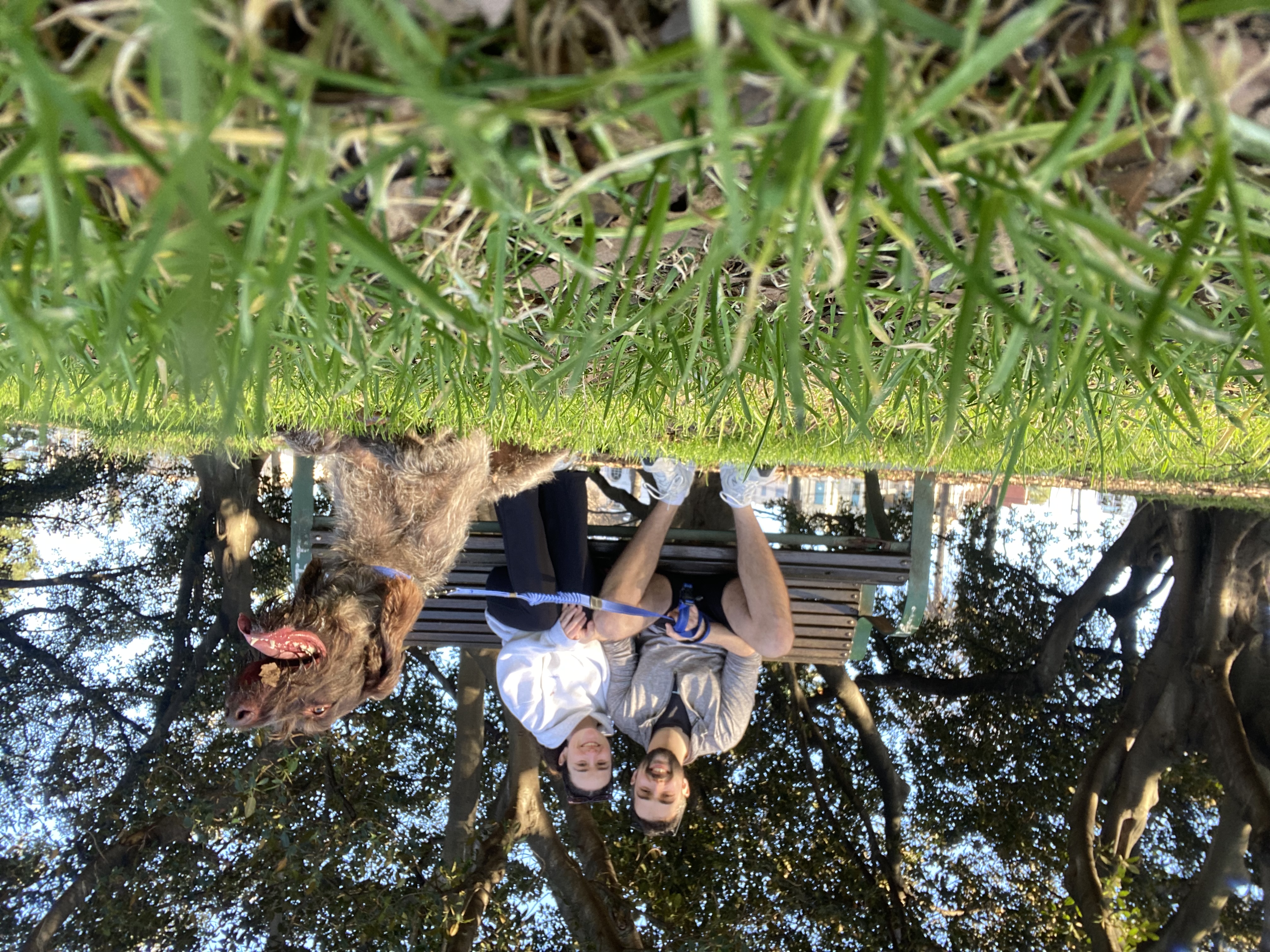 image-7