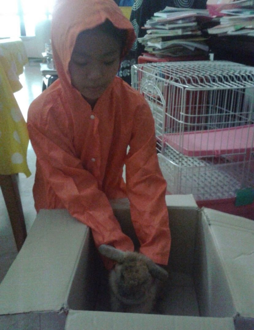 image-4
