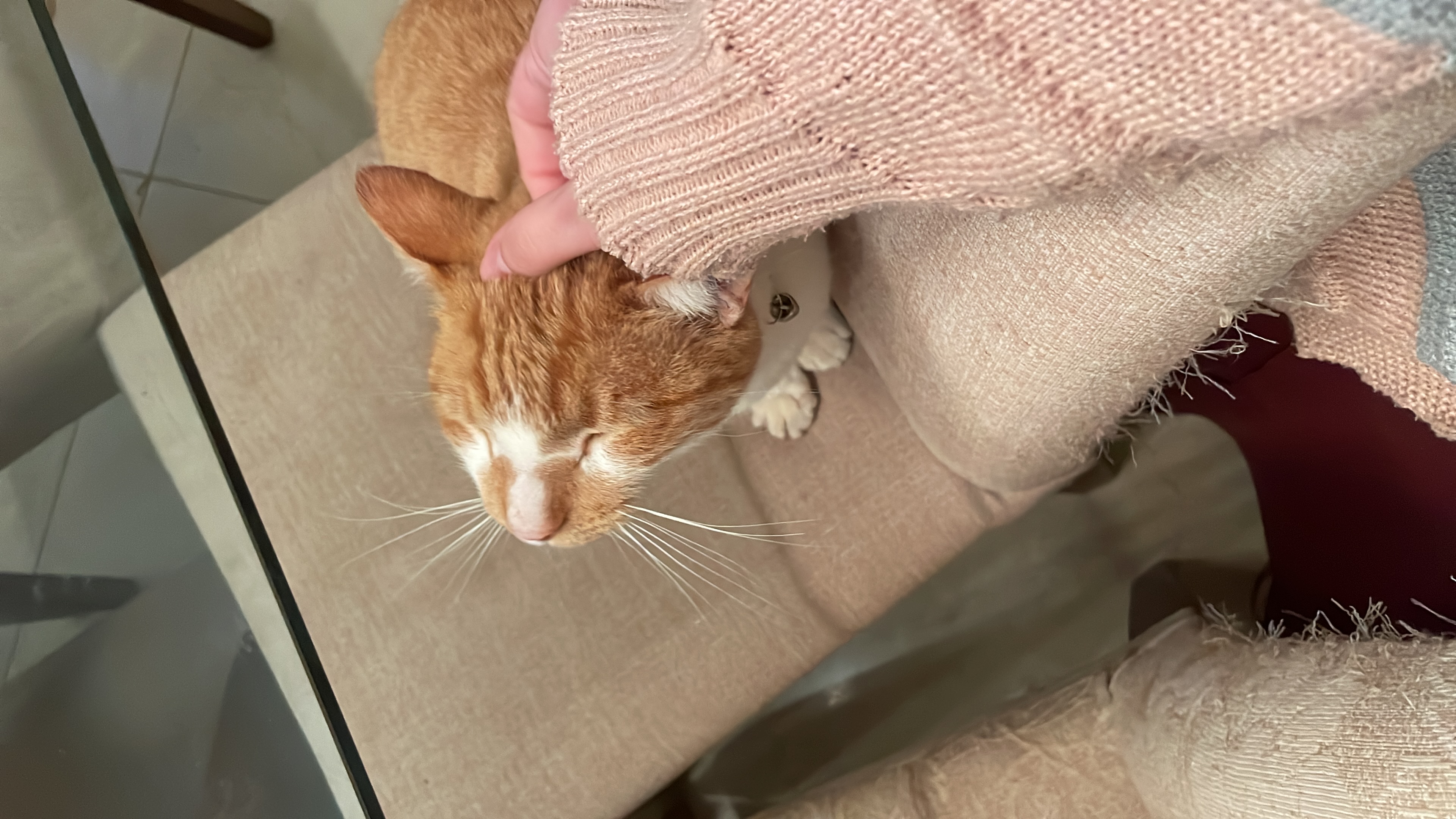 image-8