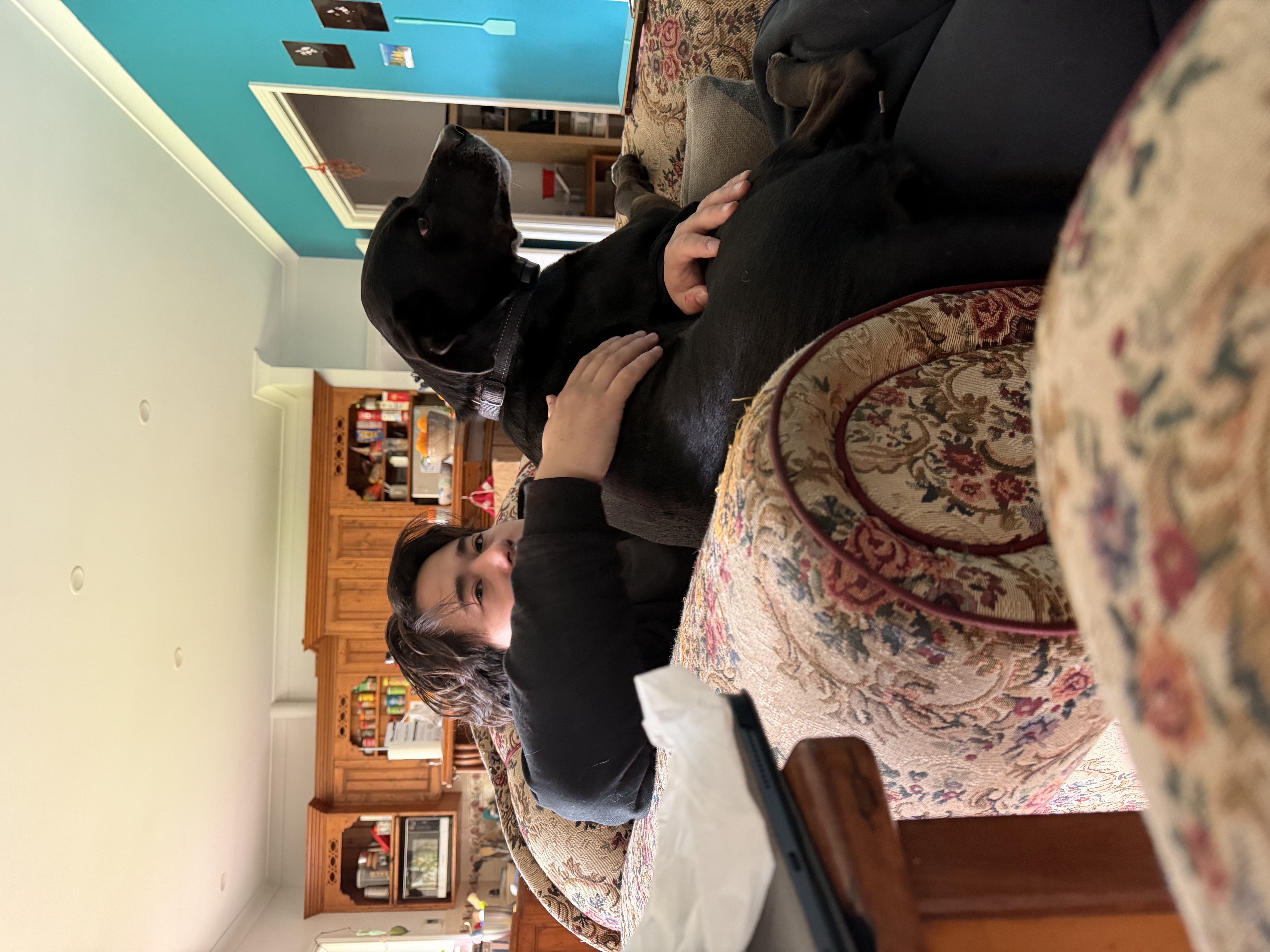 image-3