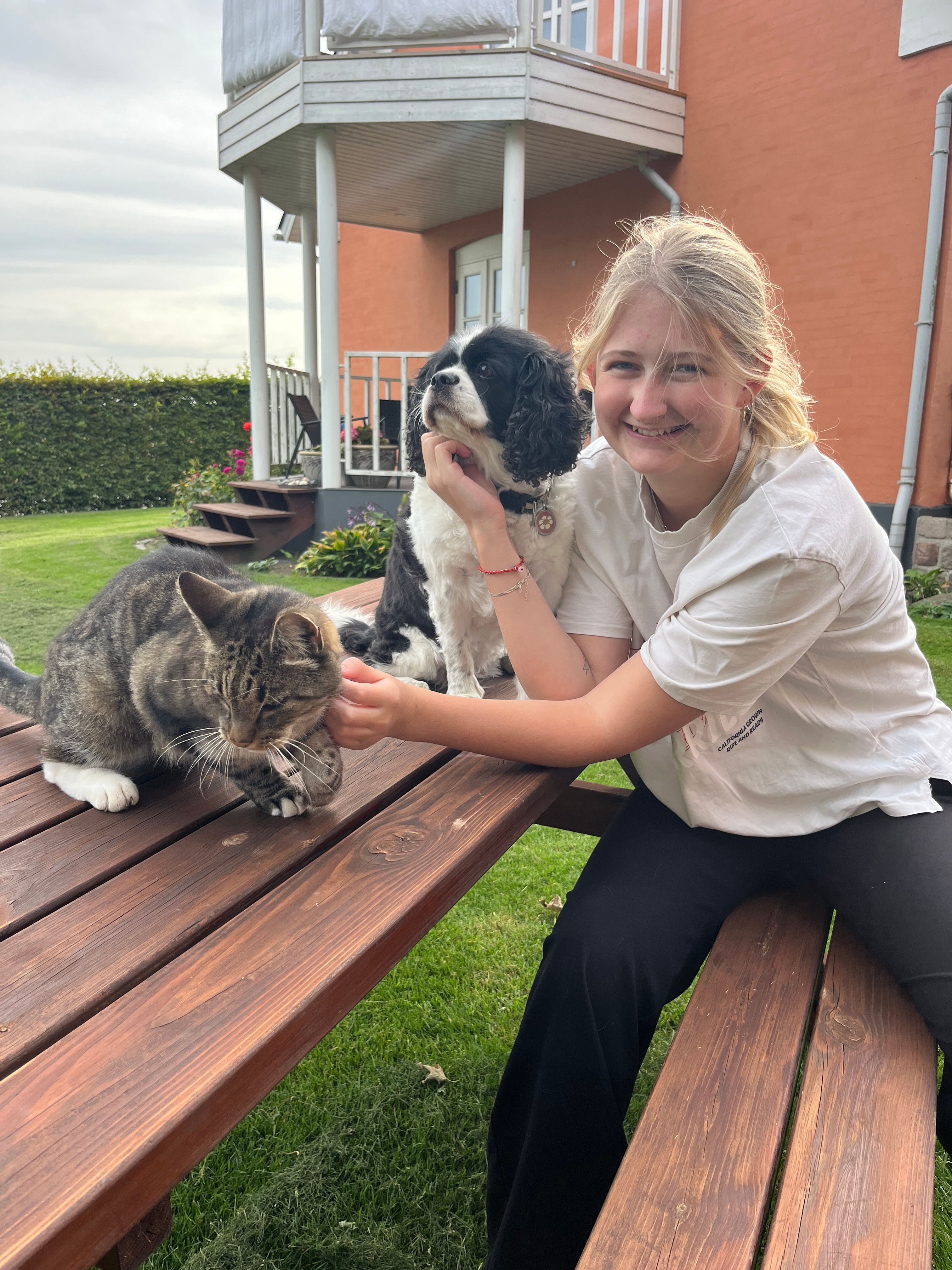 image-0
