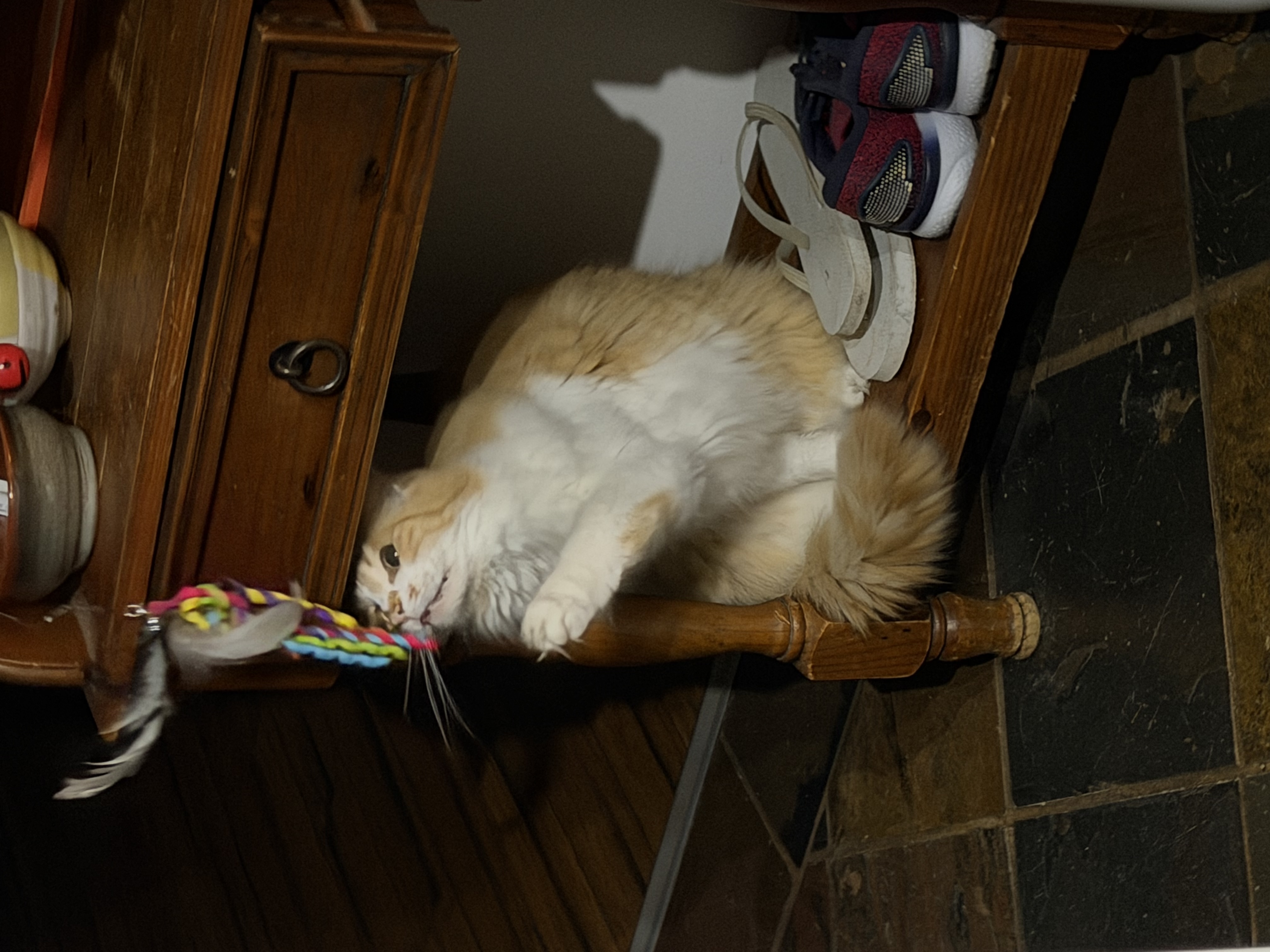 image-7