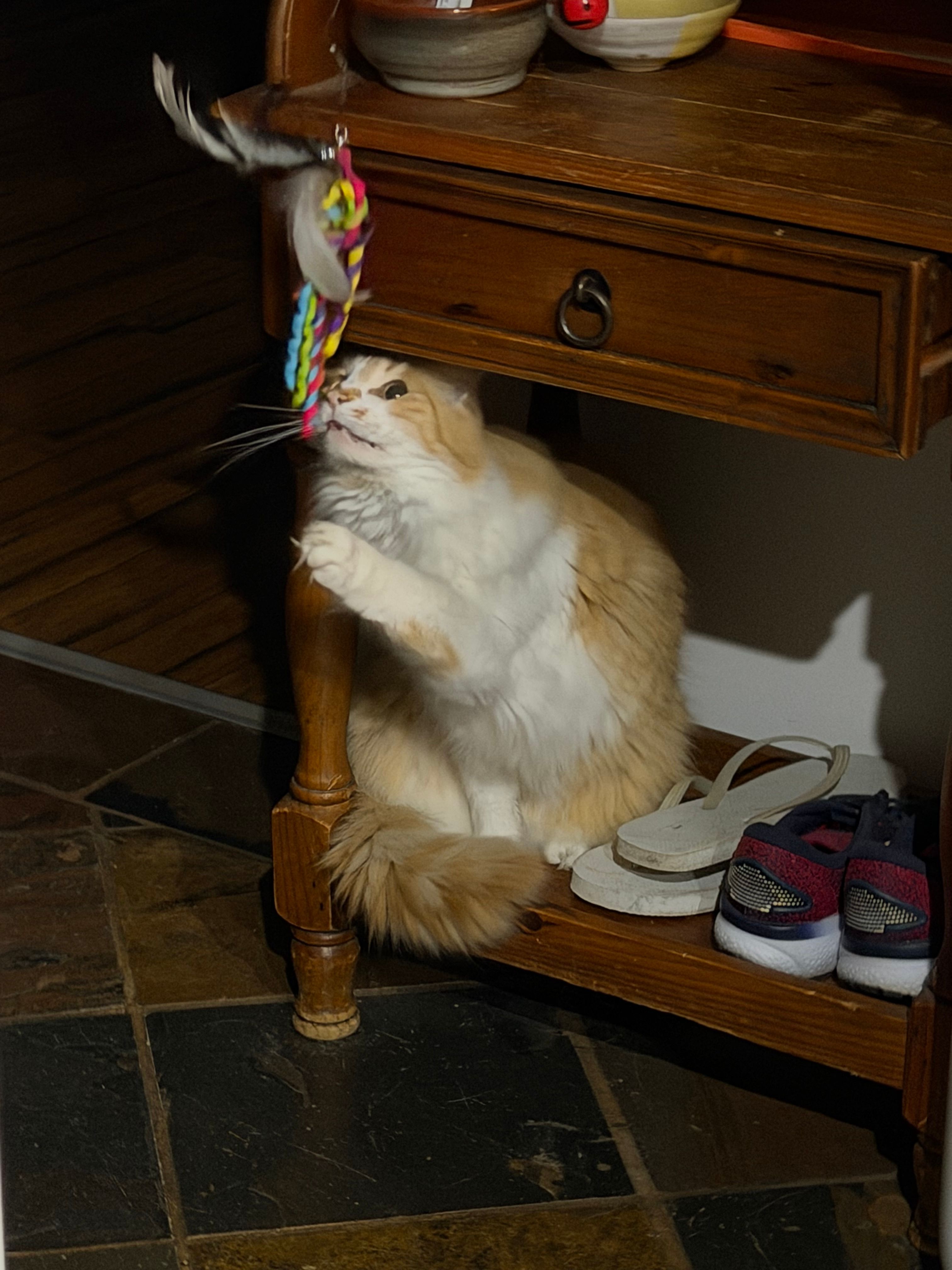 image-7