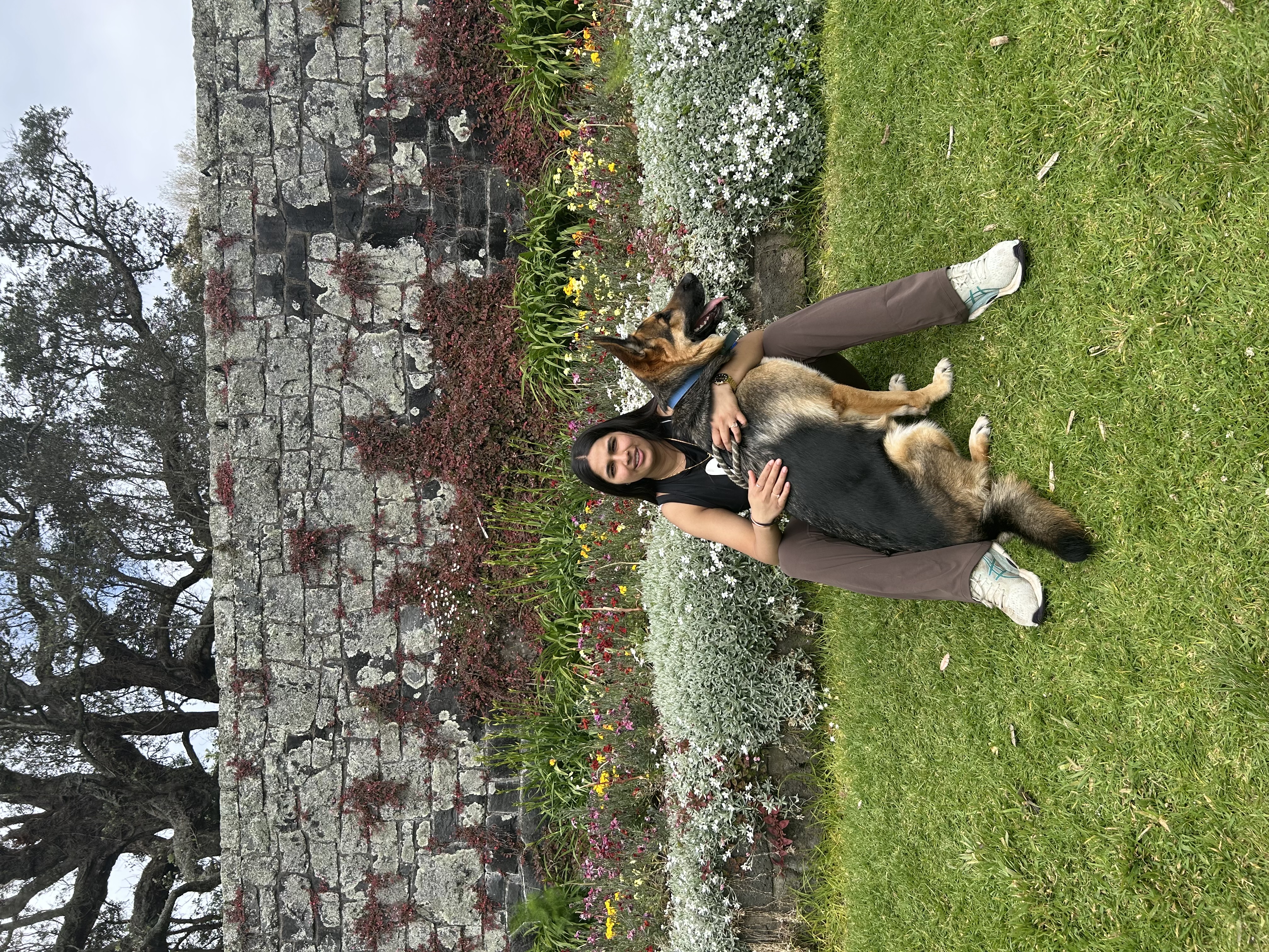 image-6
