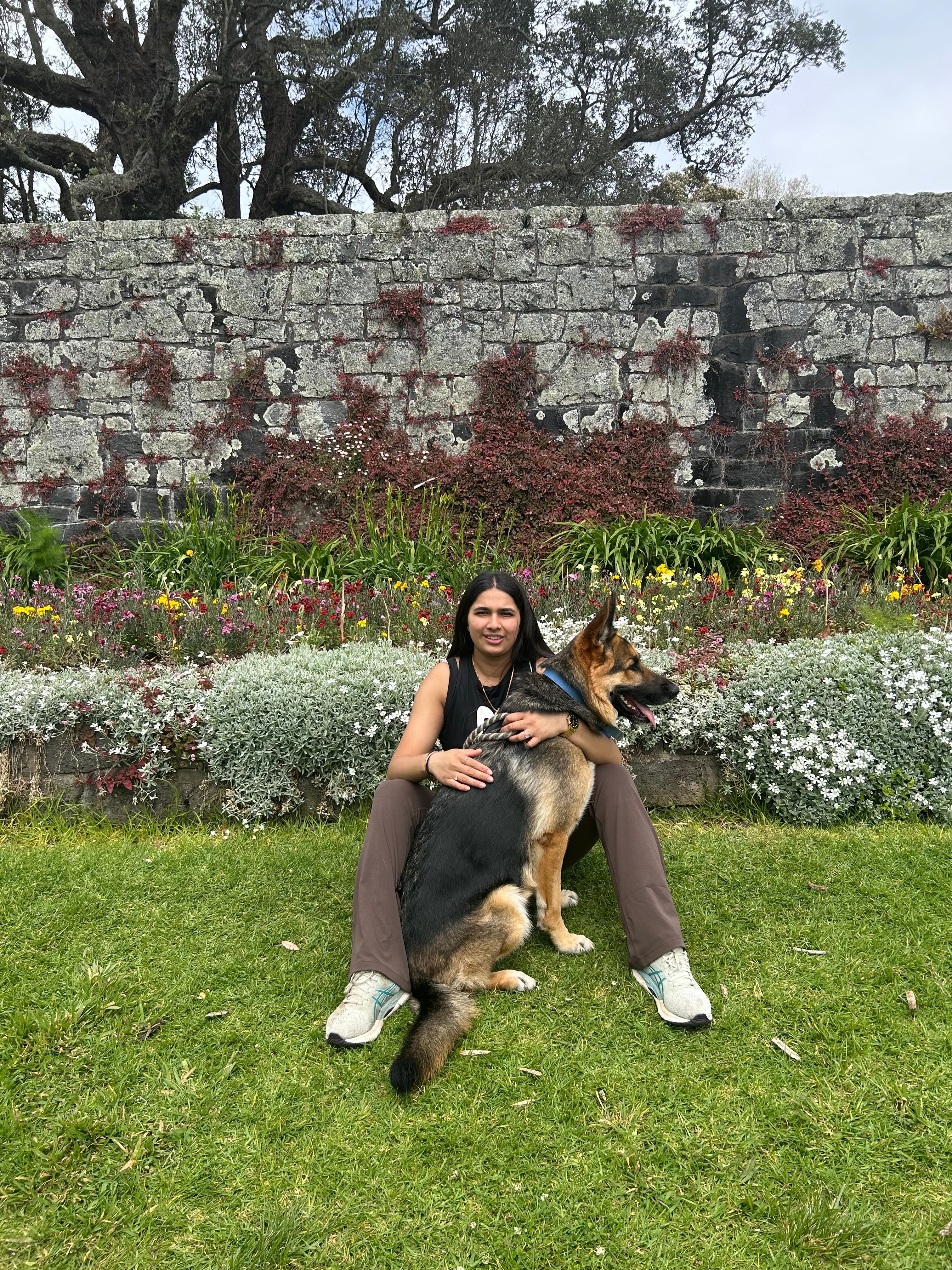 image-6