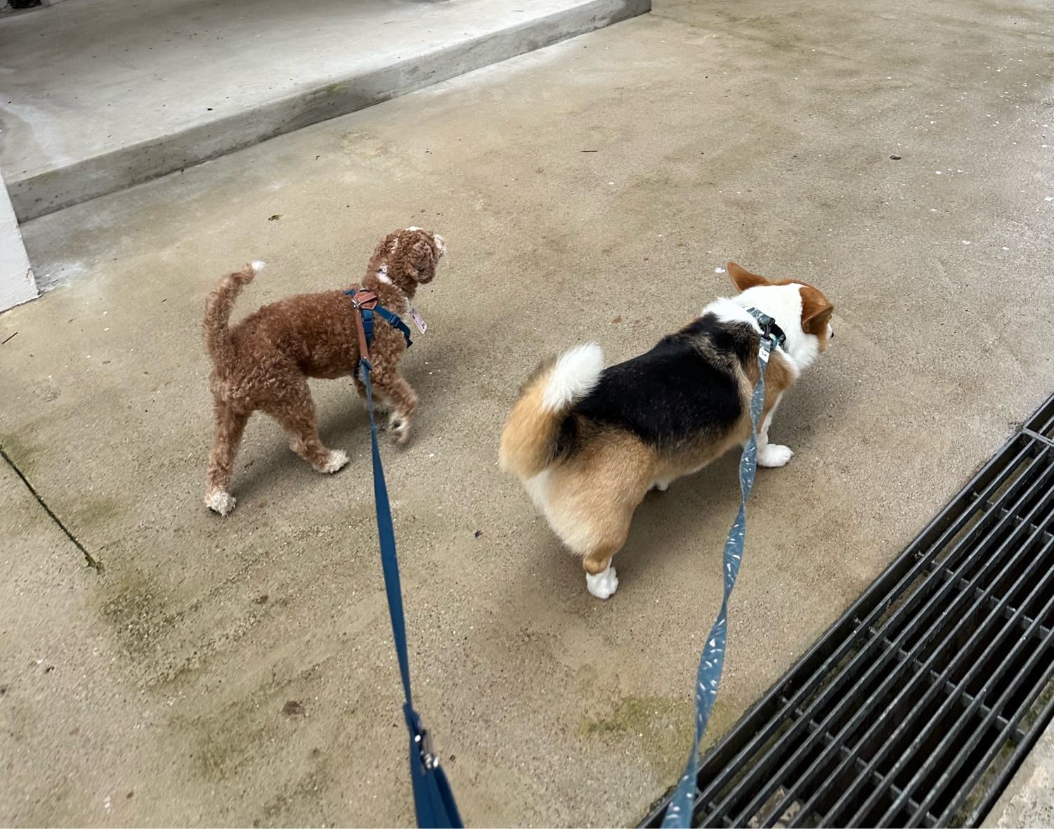 image-18