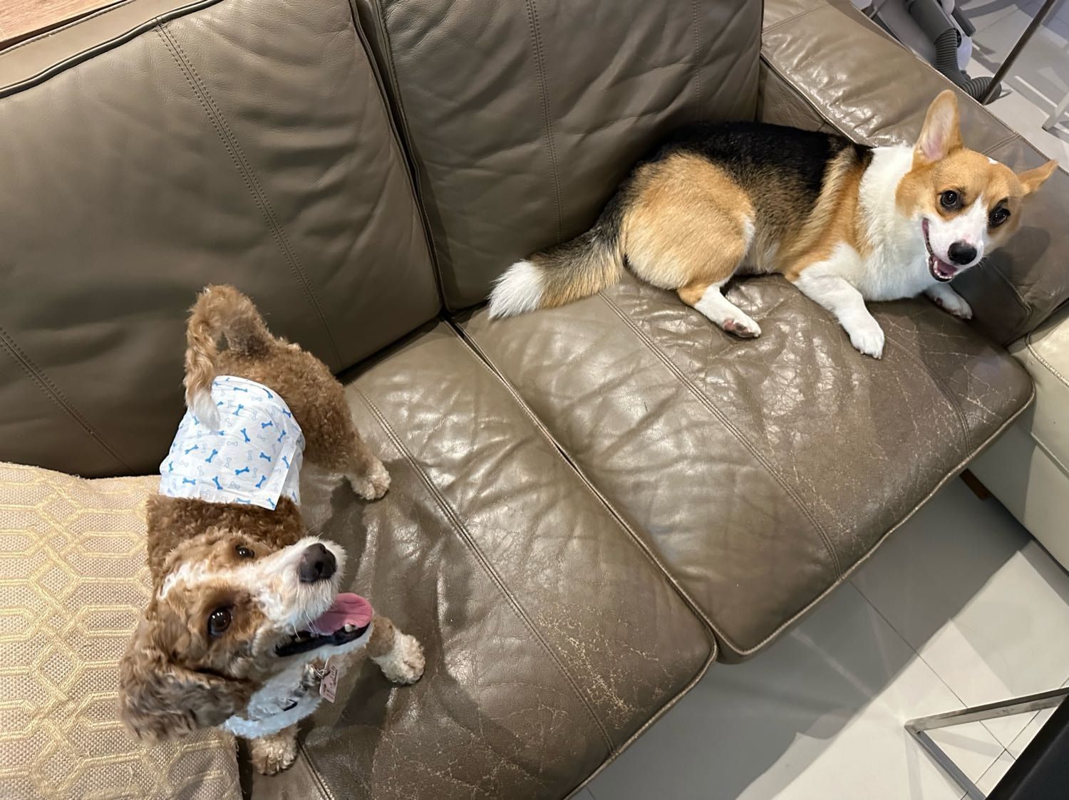 image-14