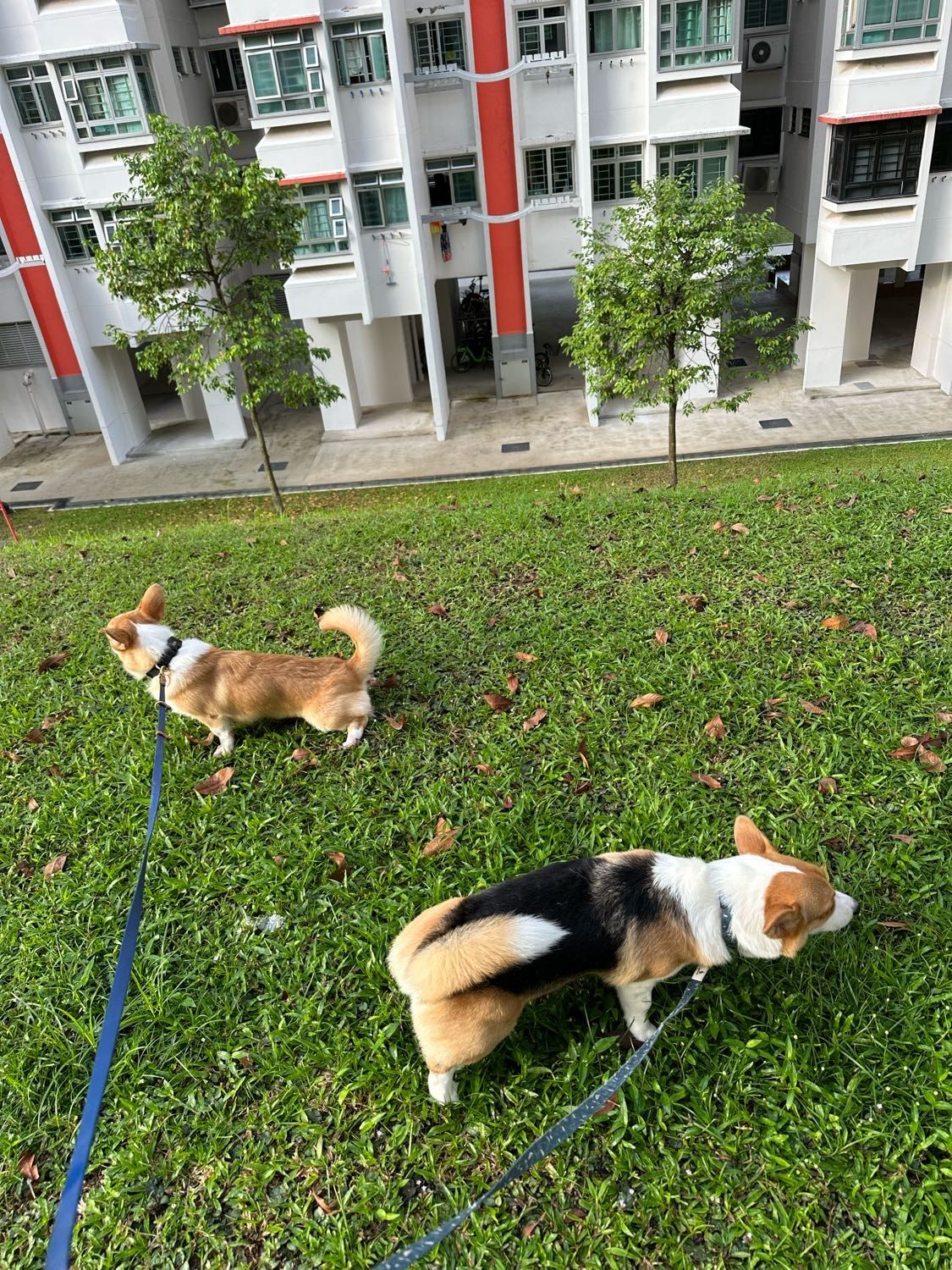 image-16