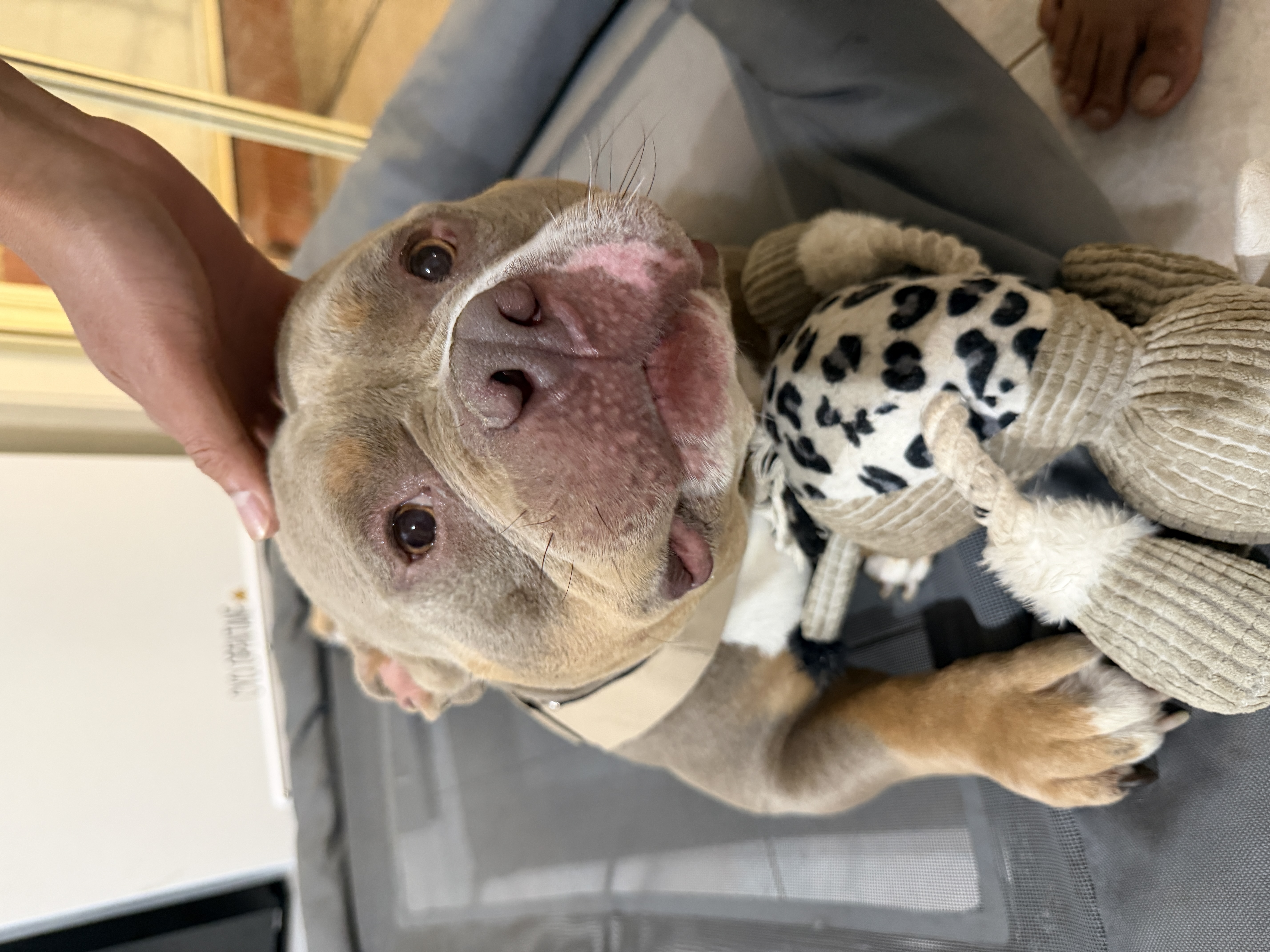 image-18