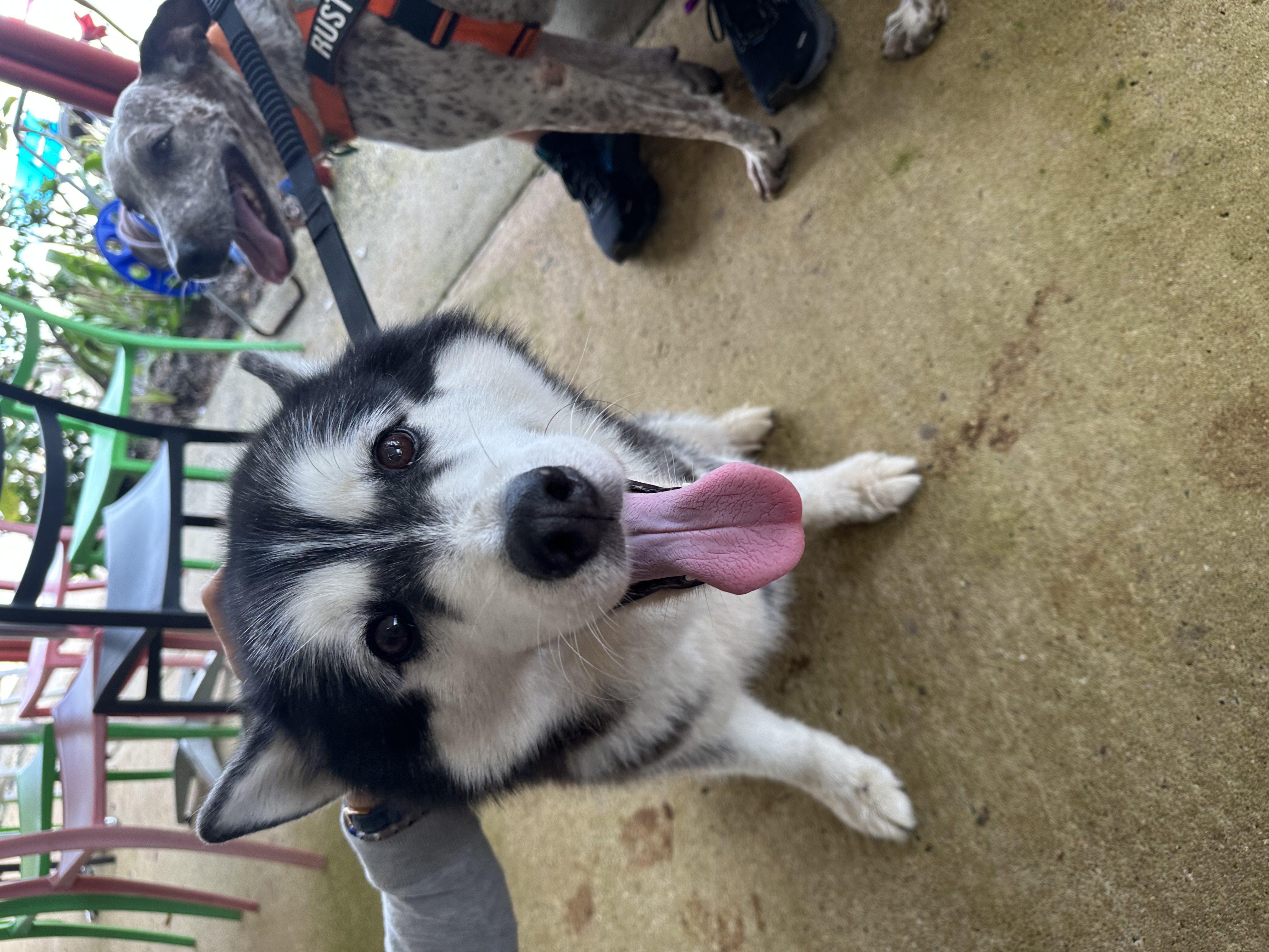 image-5