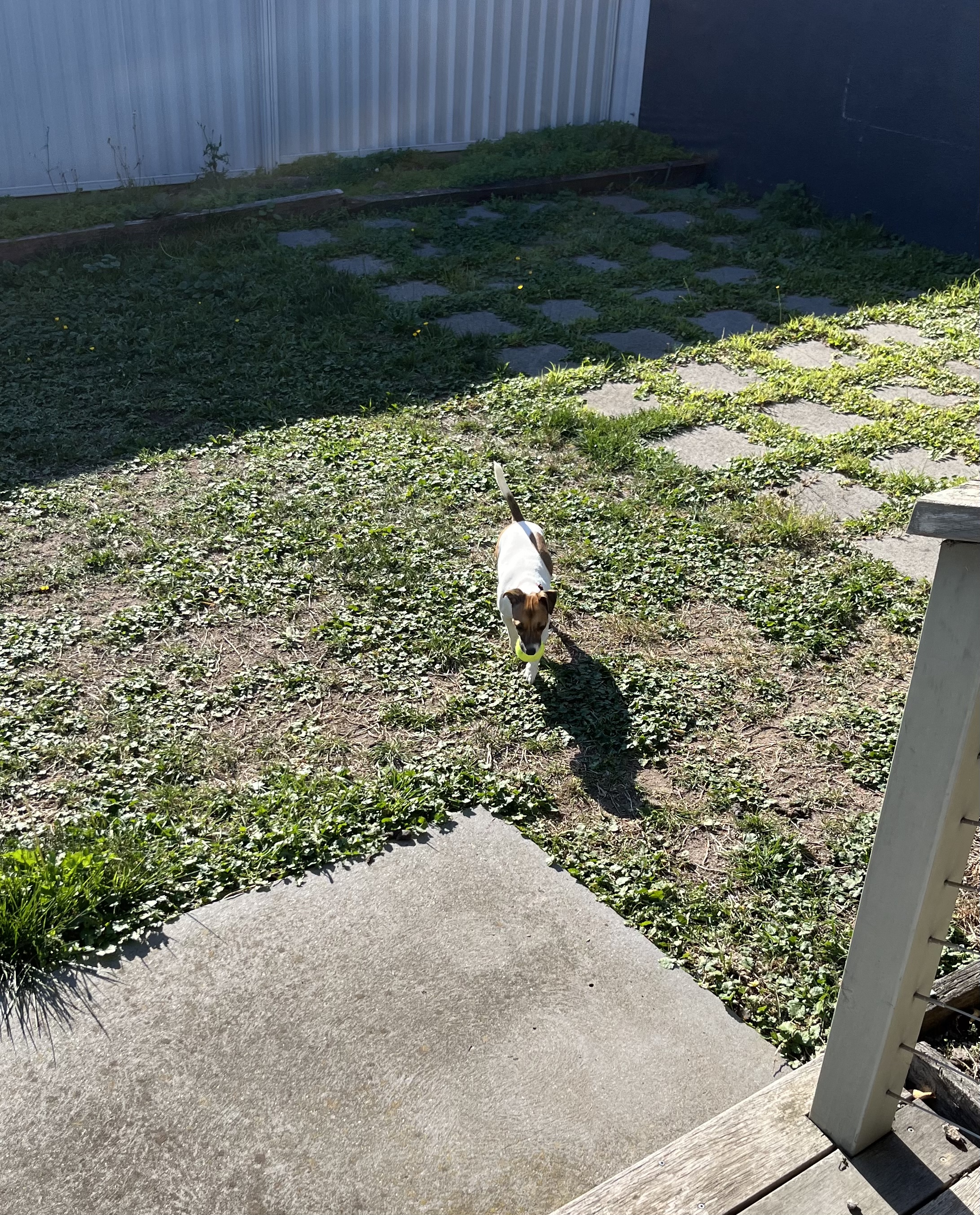 image-15