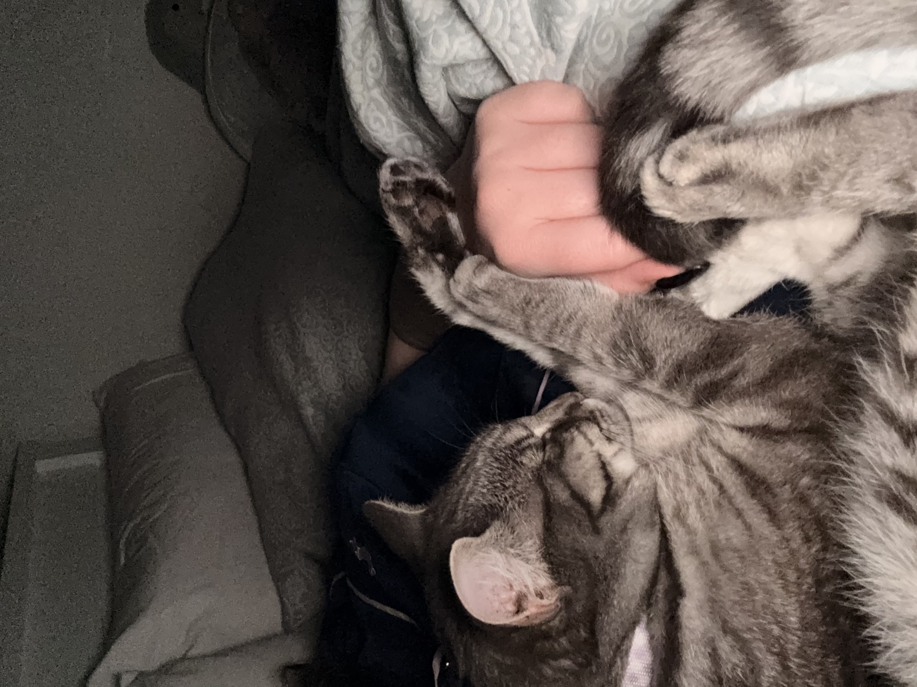 image-11