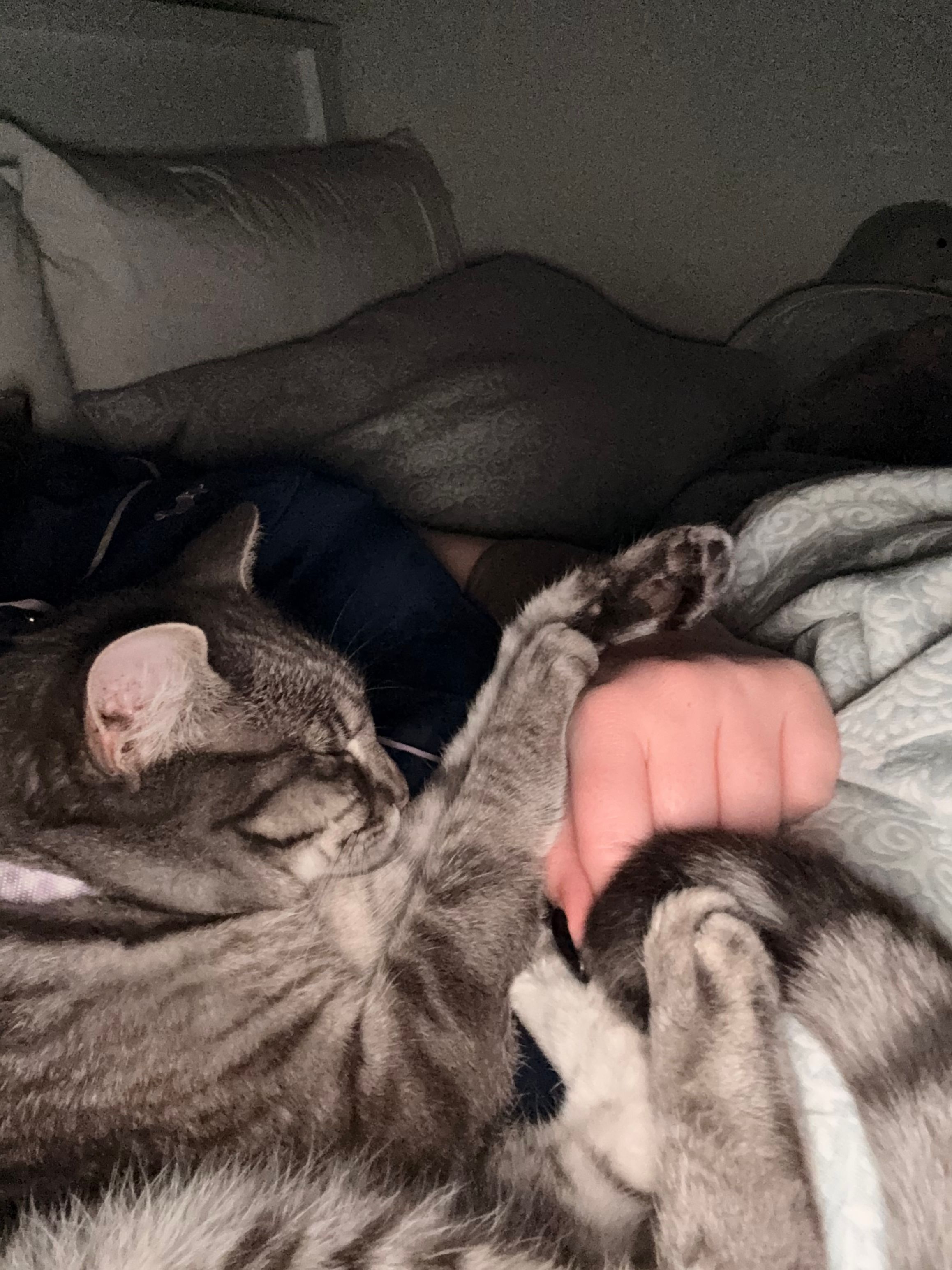 image-11