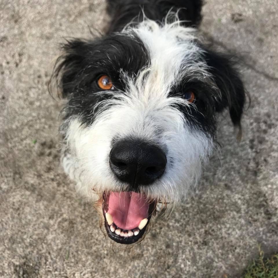 Jett