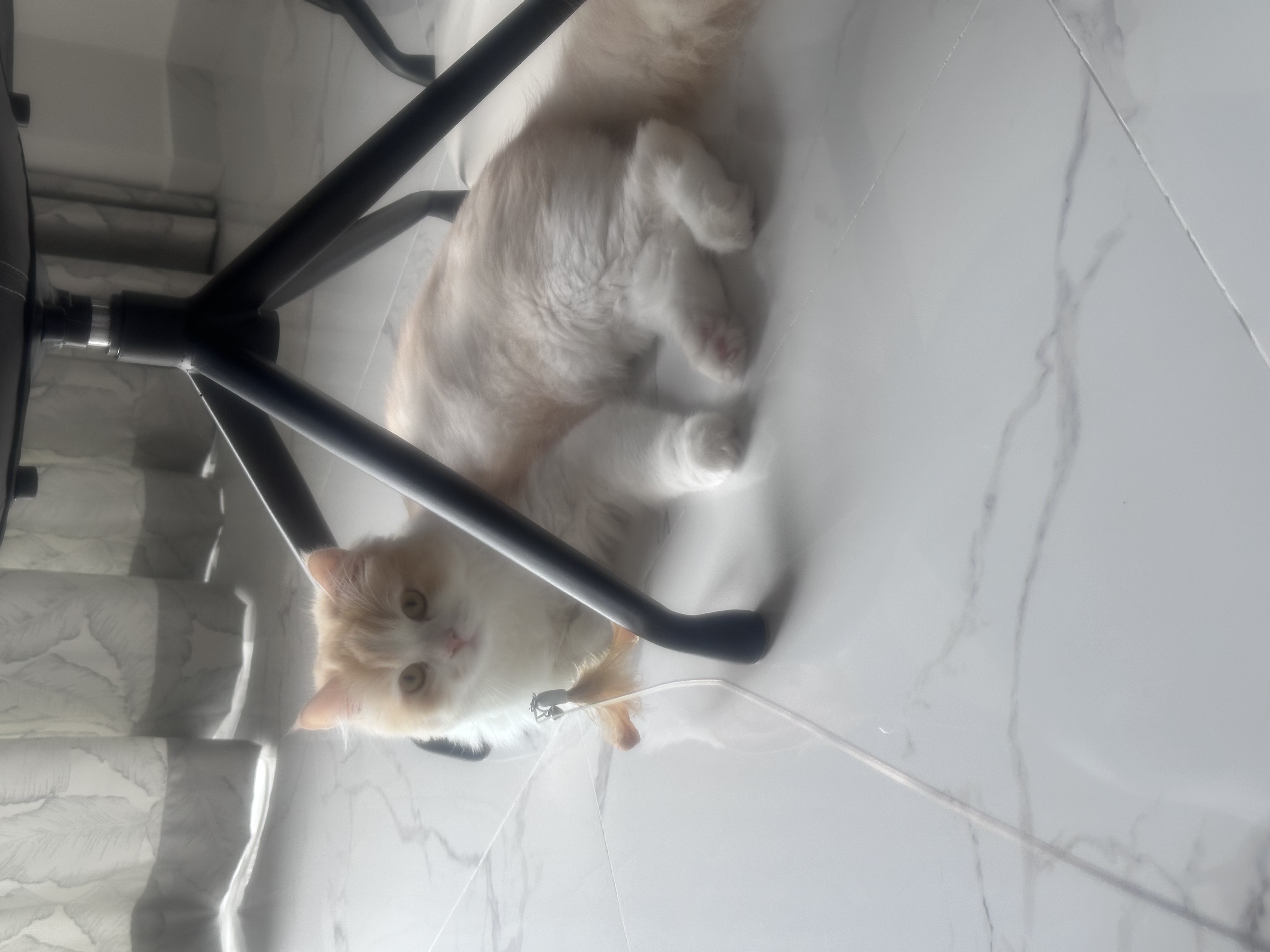 image-10