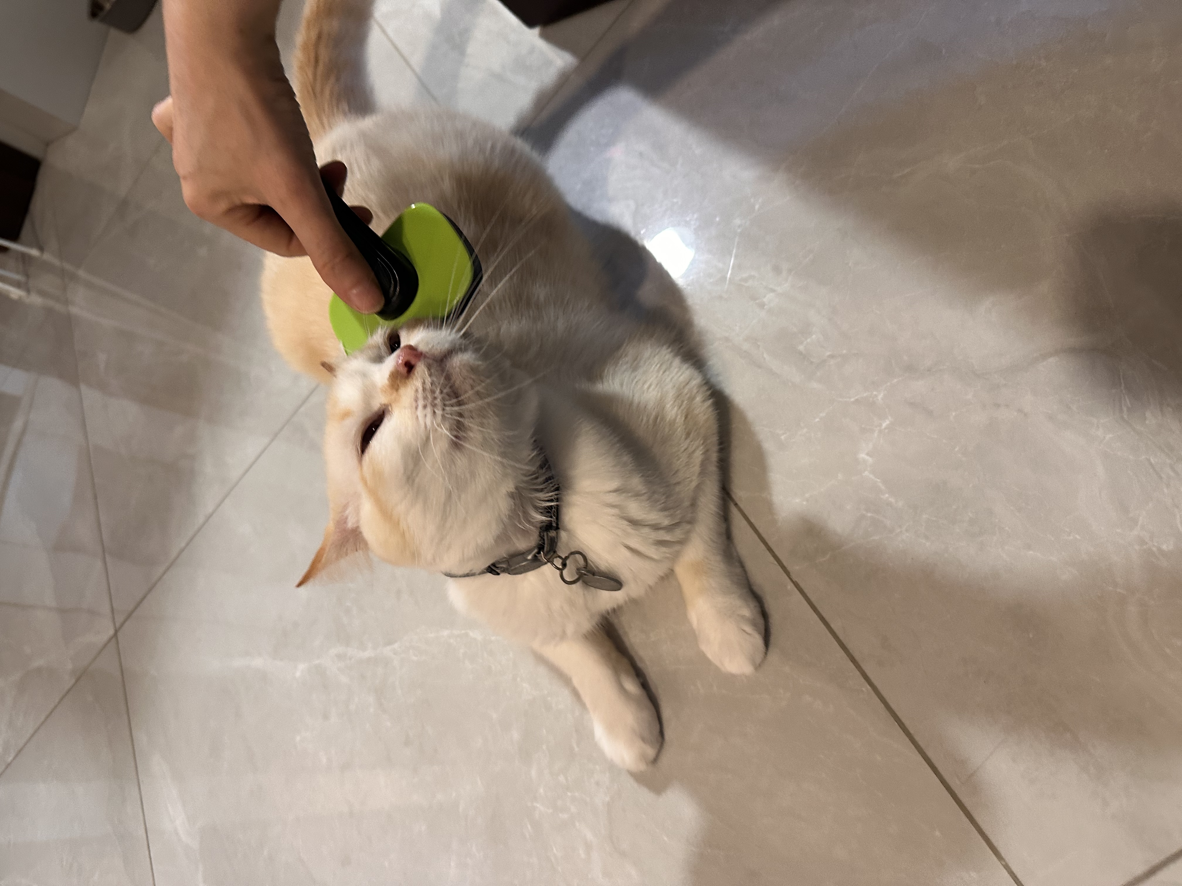 image-7