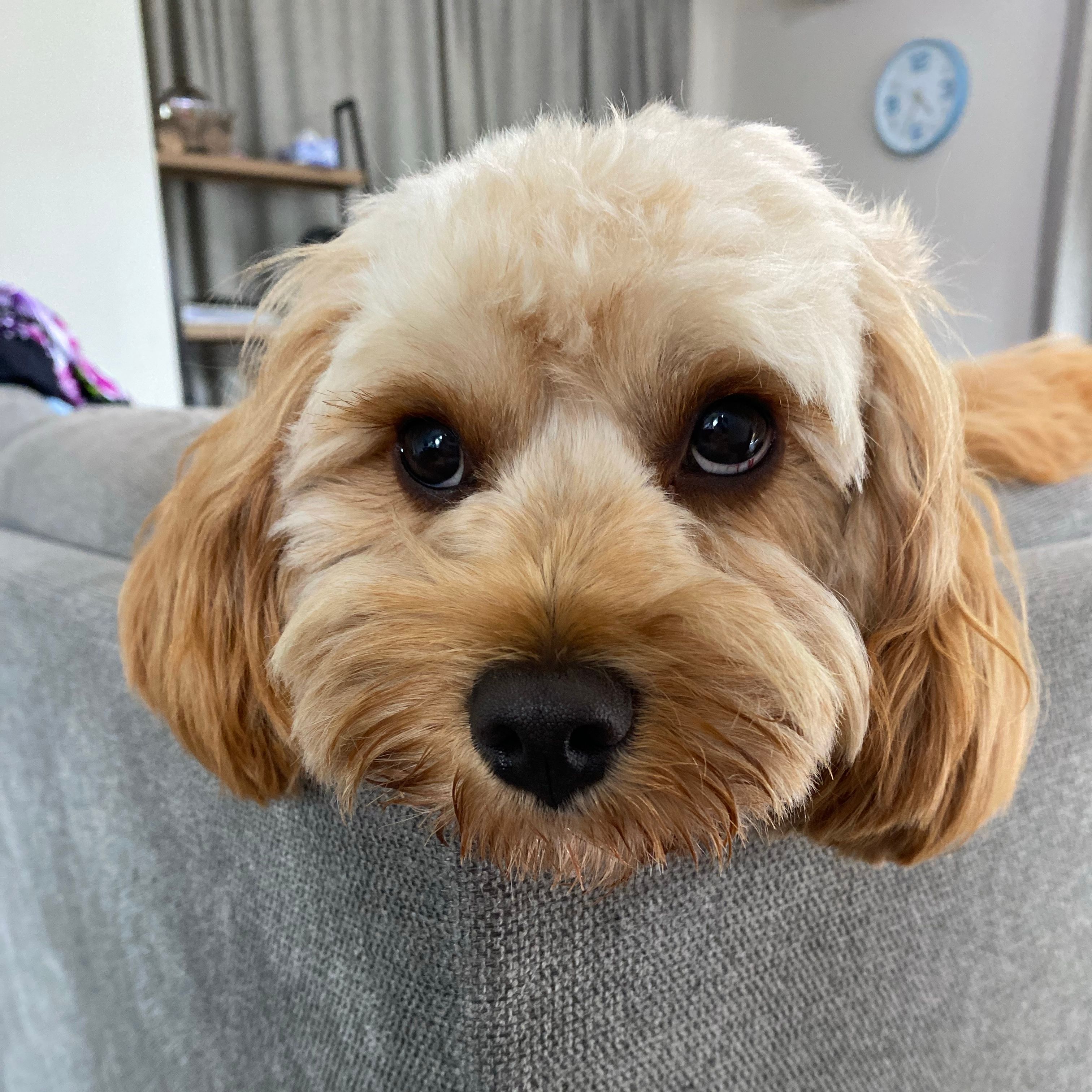 Winnie