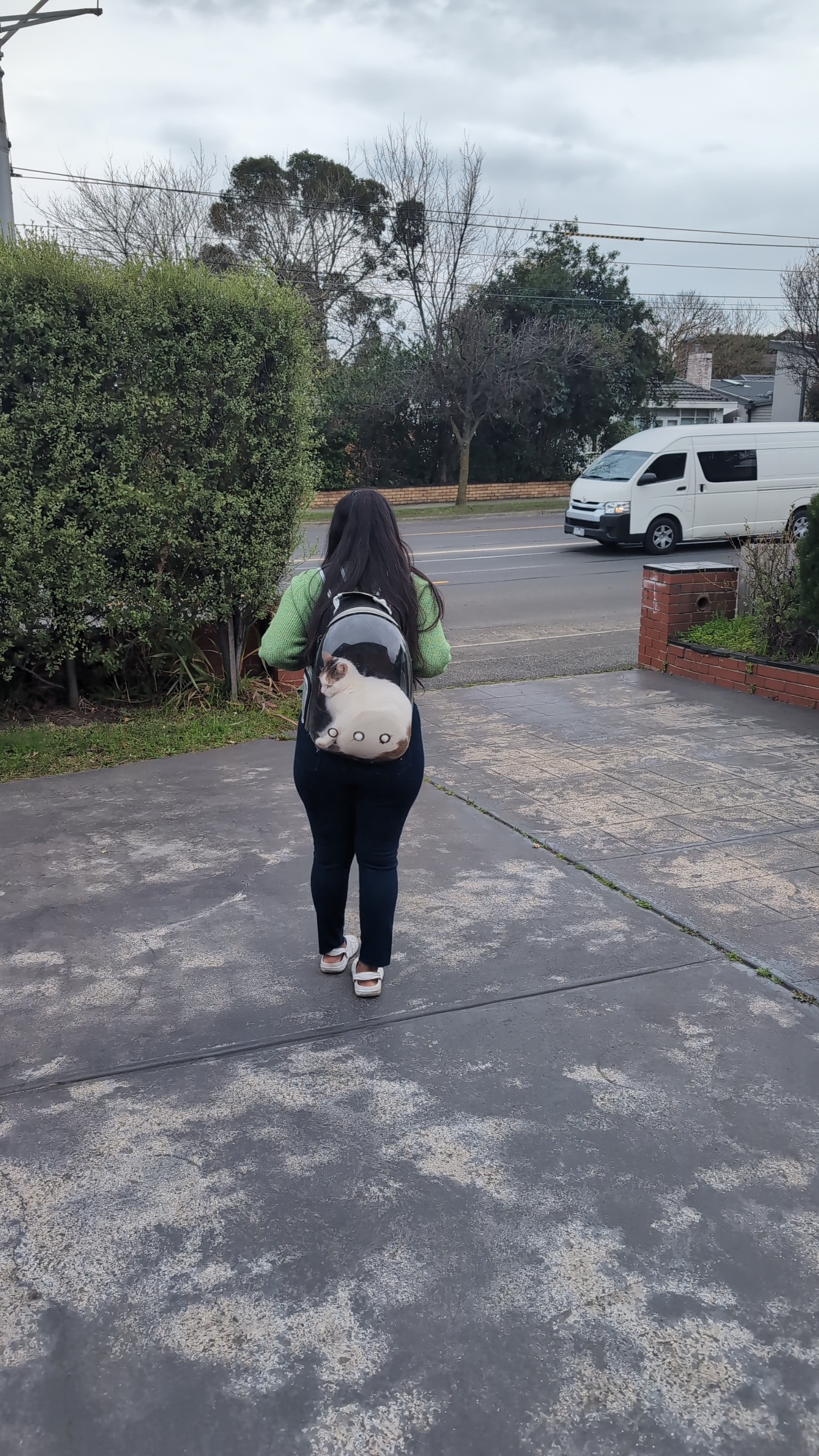 image-5