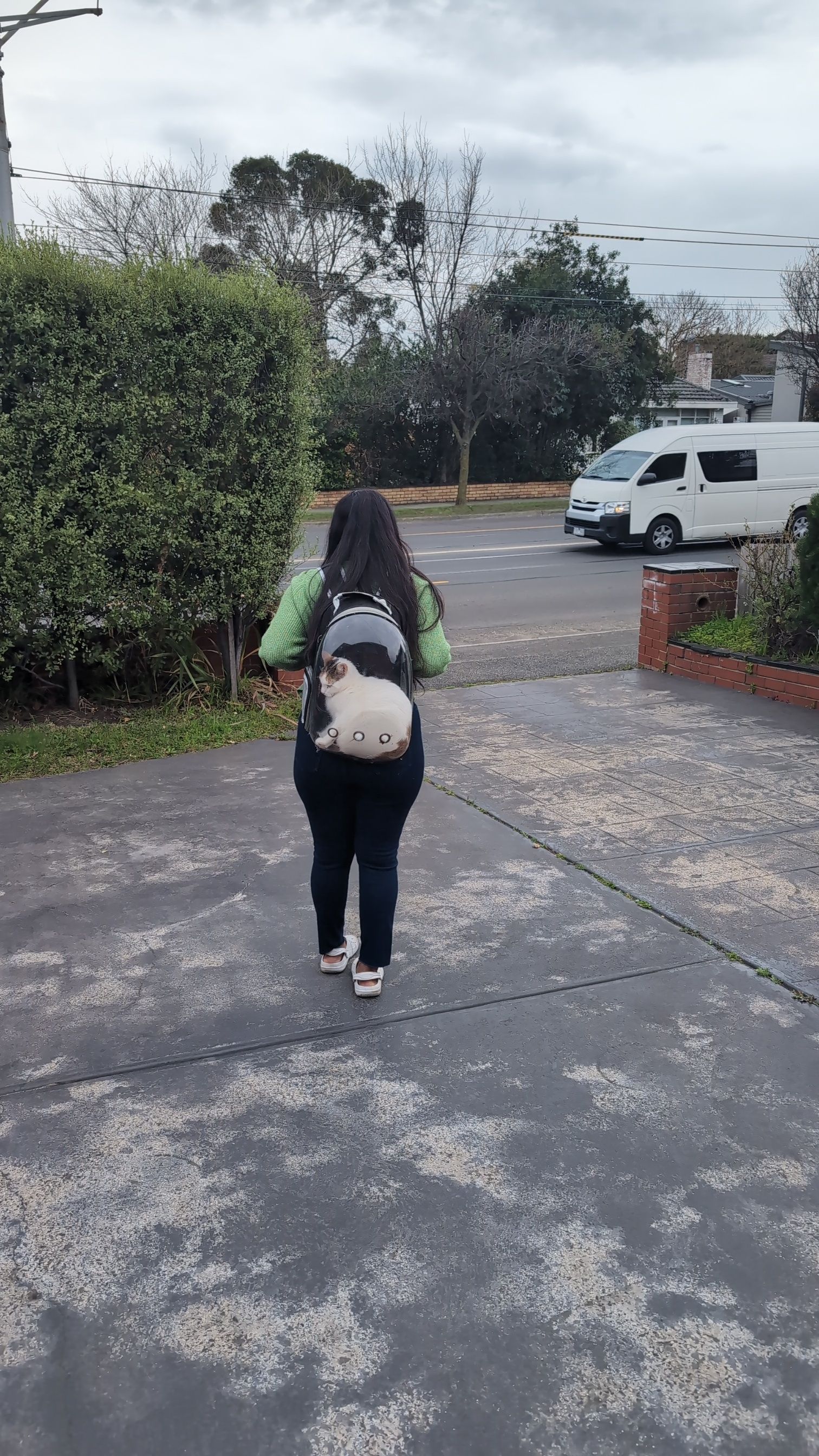 image-5