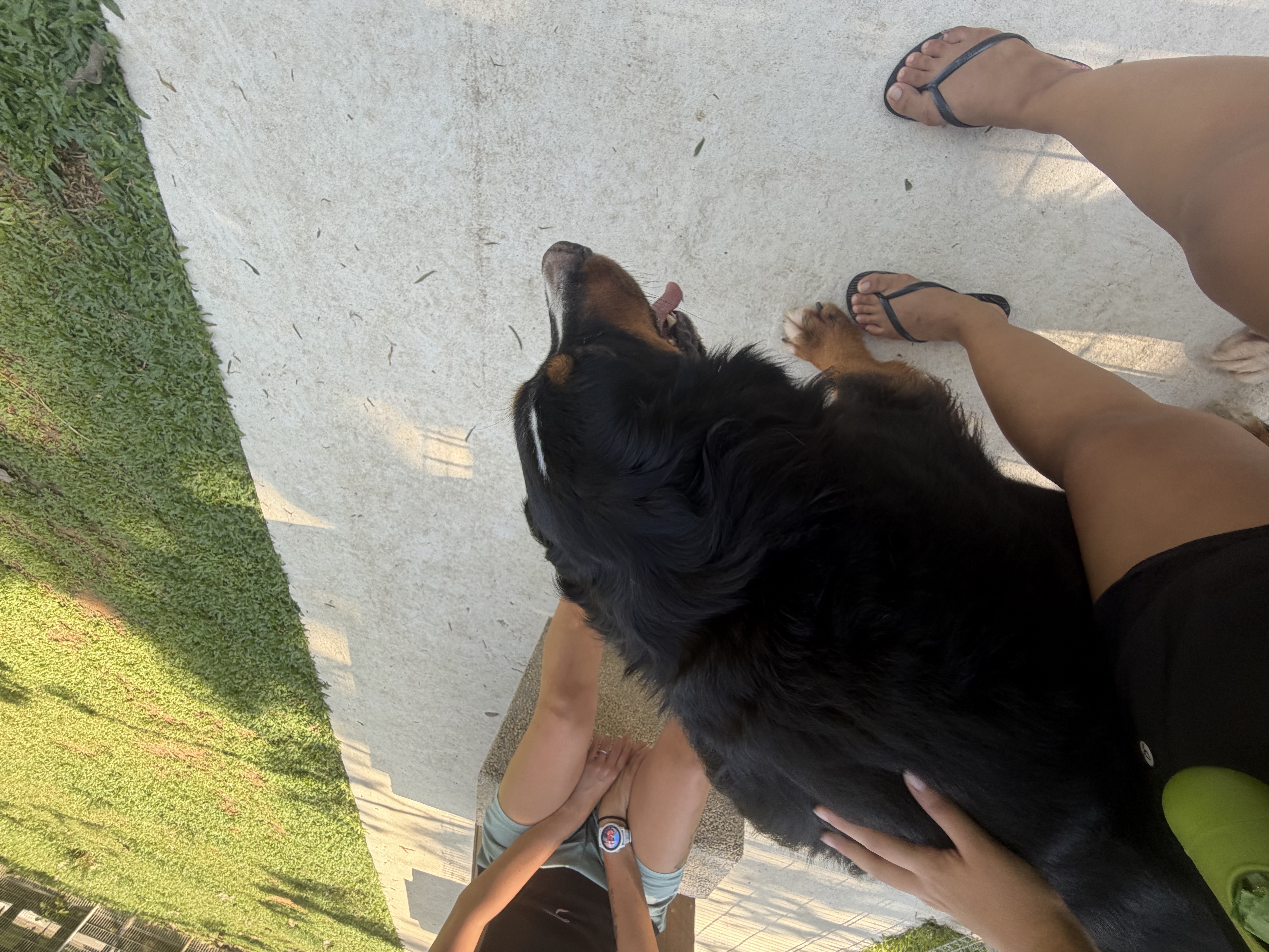 image-5