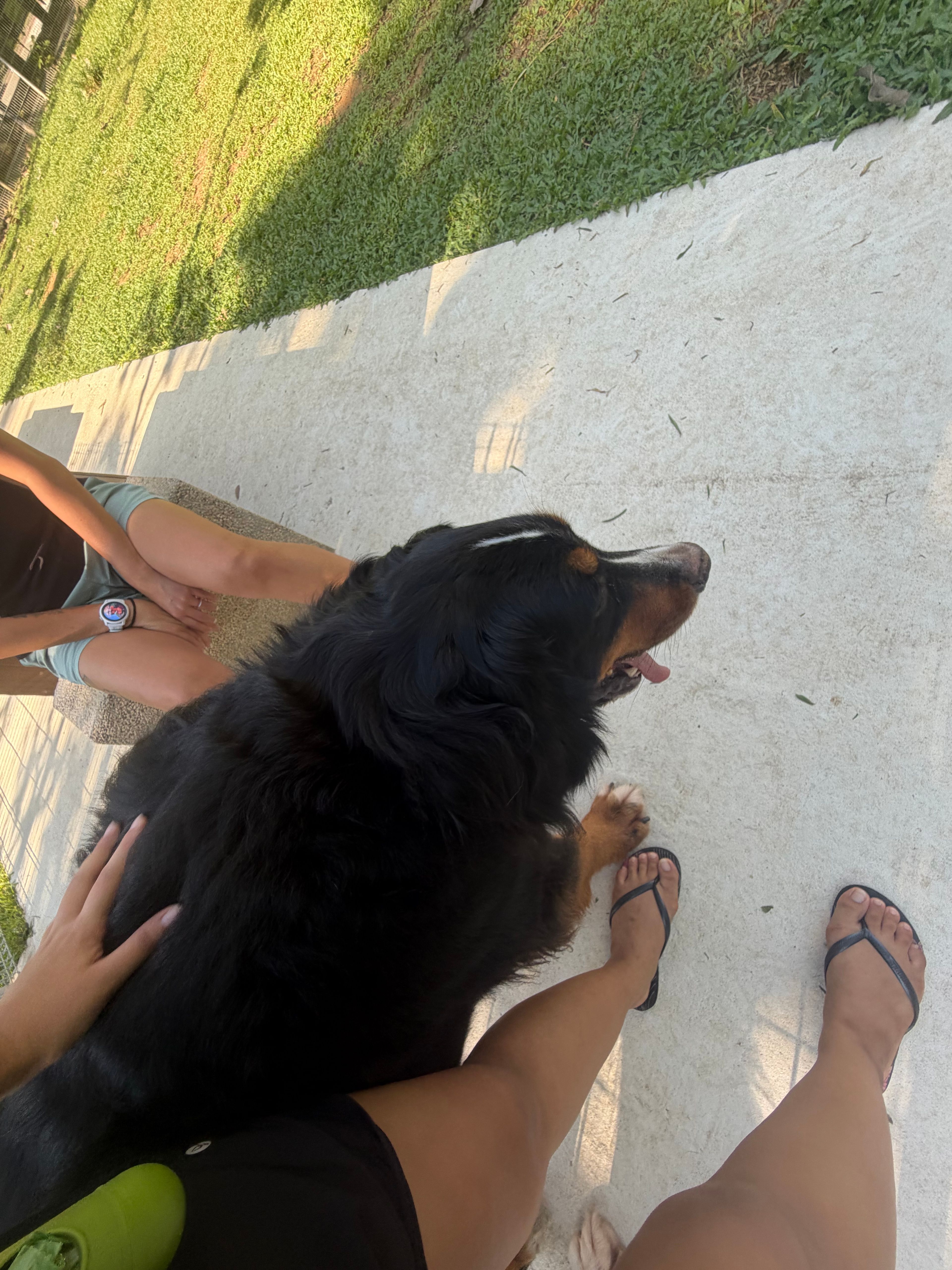 image-5